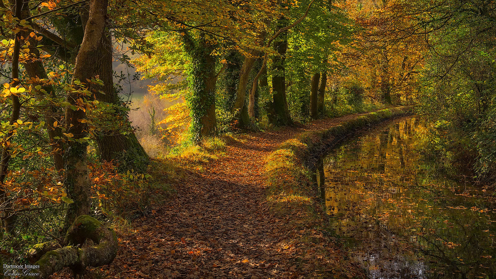 Tavistock Canal_3