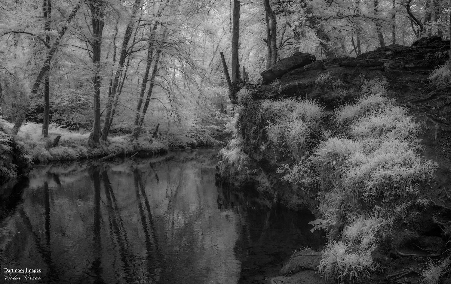 The River Plym meanders its way through Great Shaugh Woods just north of Plymouth during a sultry summers afternoon in Devon.