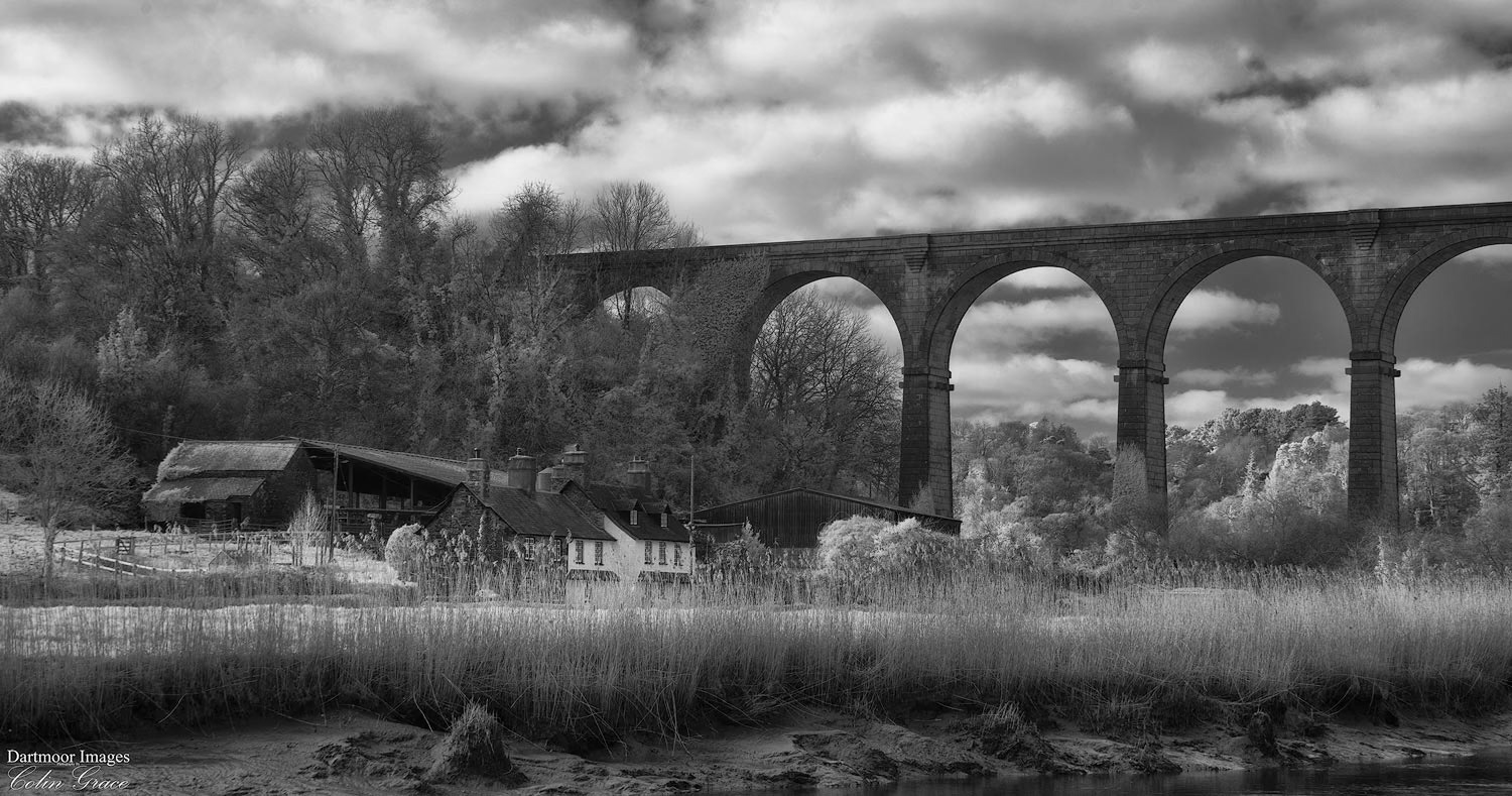 The small farm under the viaduct the crosses the River Tamar at Calstock in Cornwall.