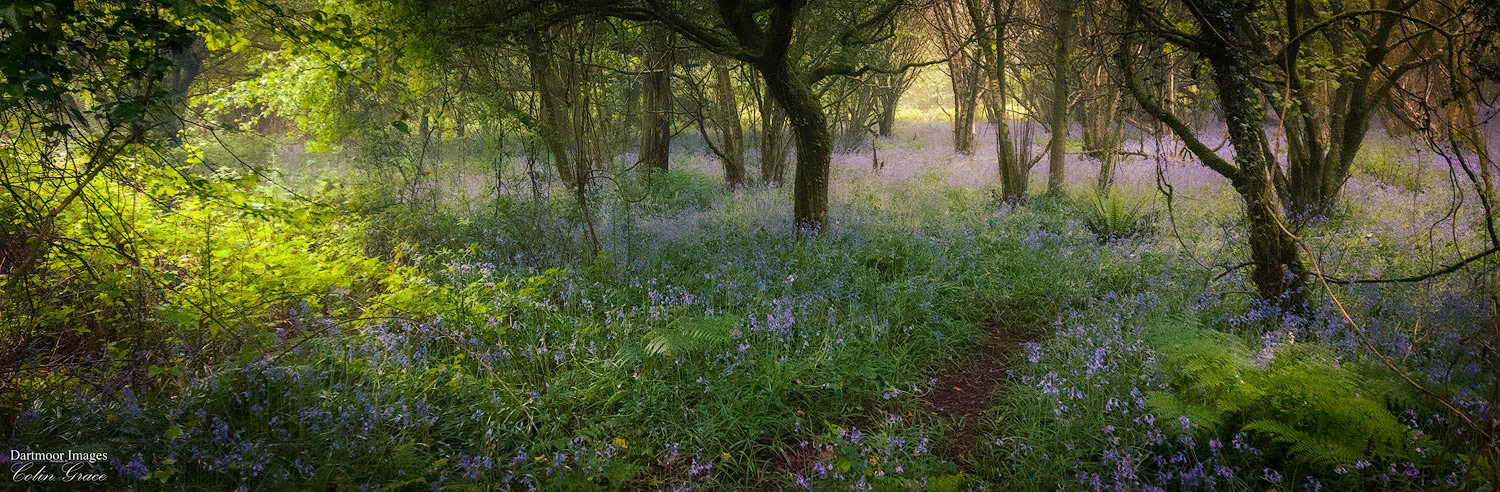 Woolwell Sunrise_22-019