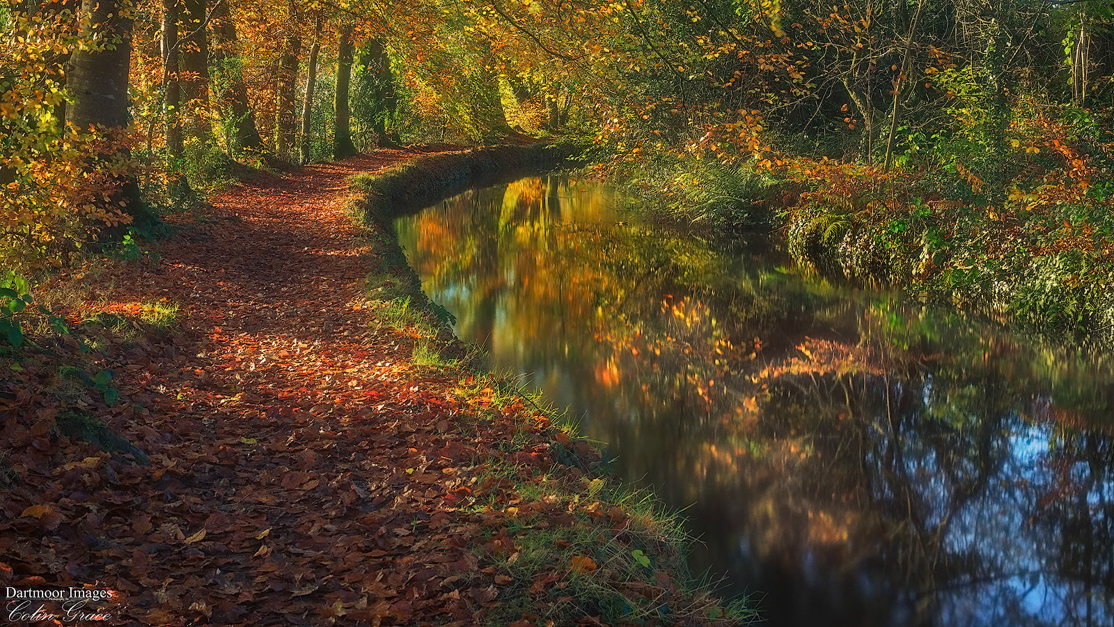 Tavistock Canal_7