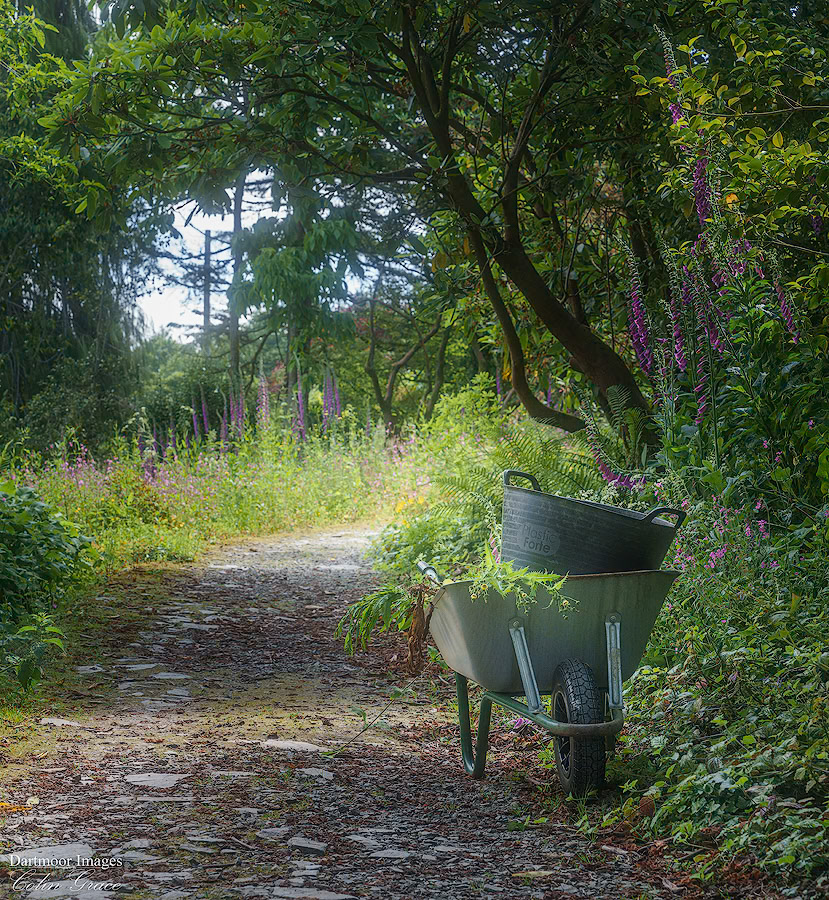 The Garden House_2024_01