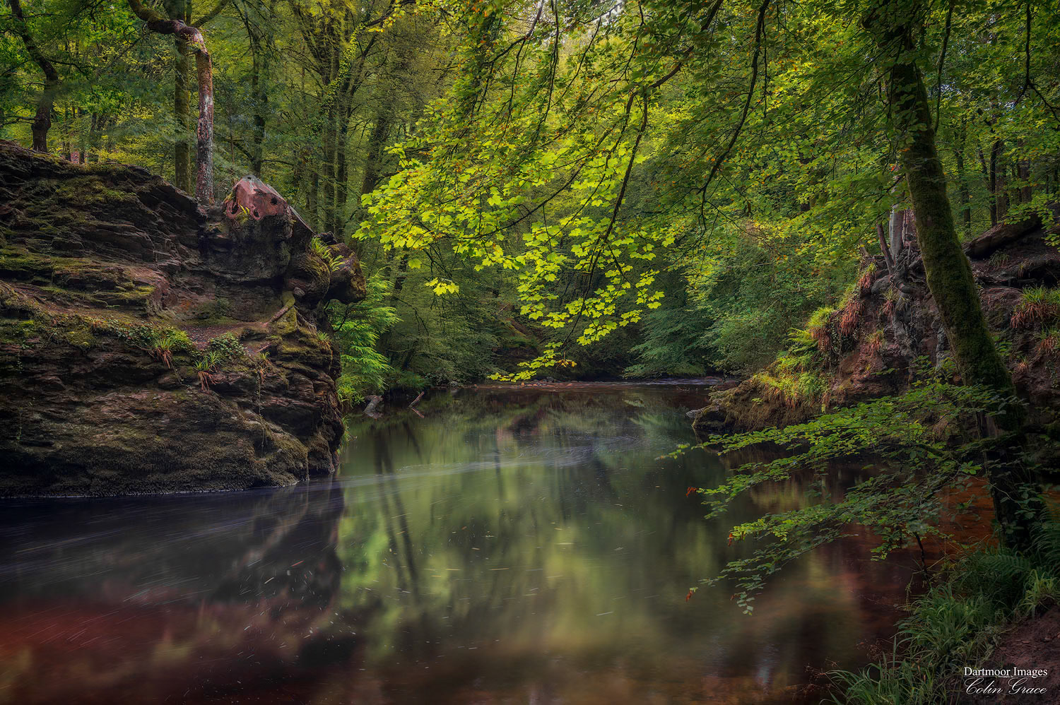 The River Plym flows gently through Great Shaugh Woods during a tranquil summers afternoon in Plymouth, Devon.