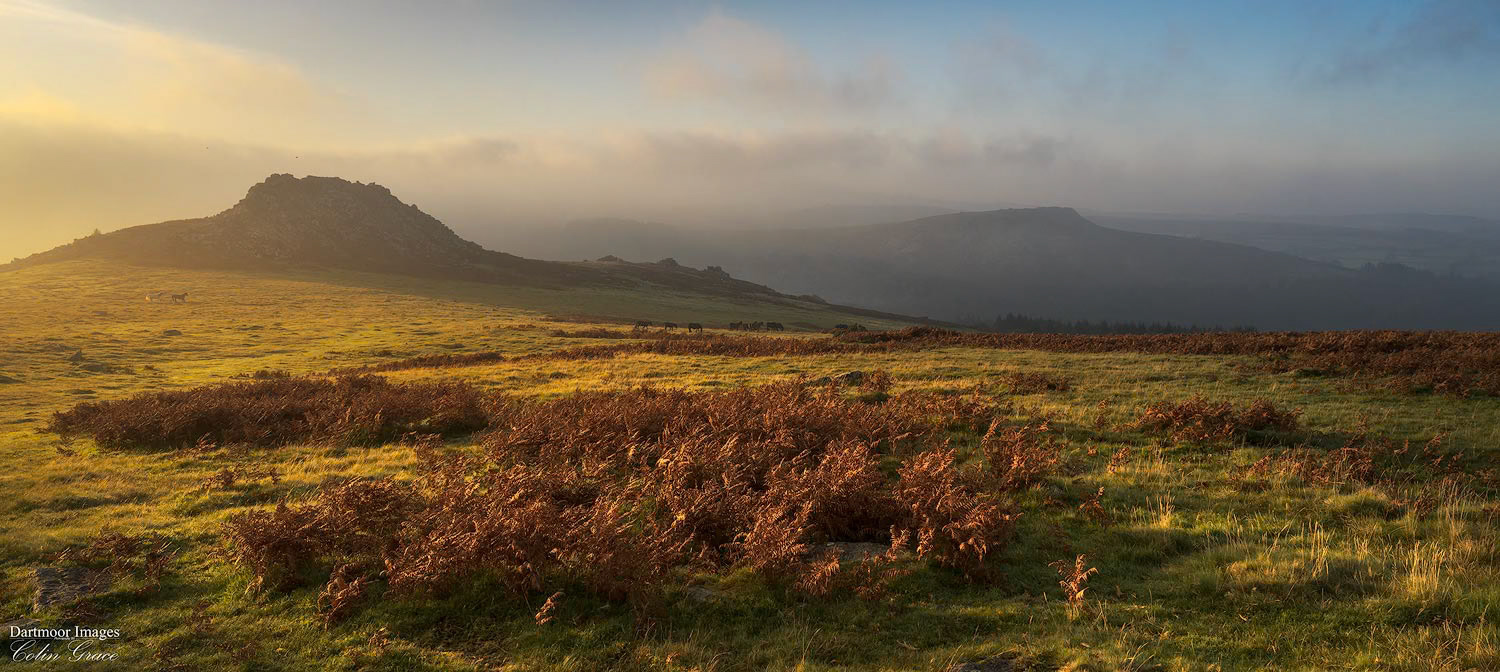 Misty Sunrise over Burrator