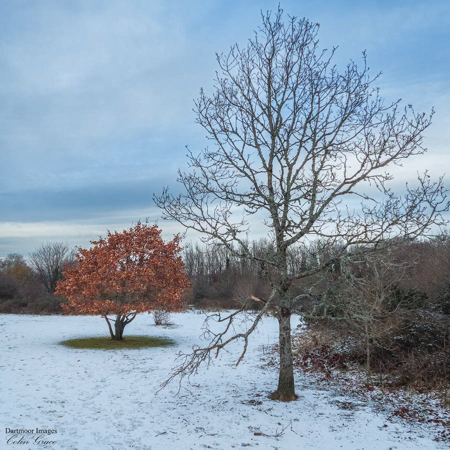 Woolwell Sunrise_22-039