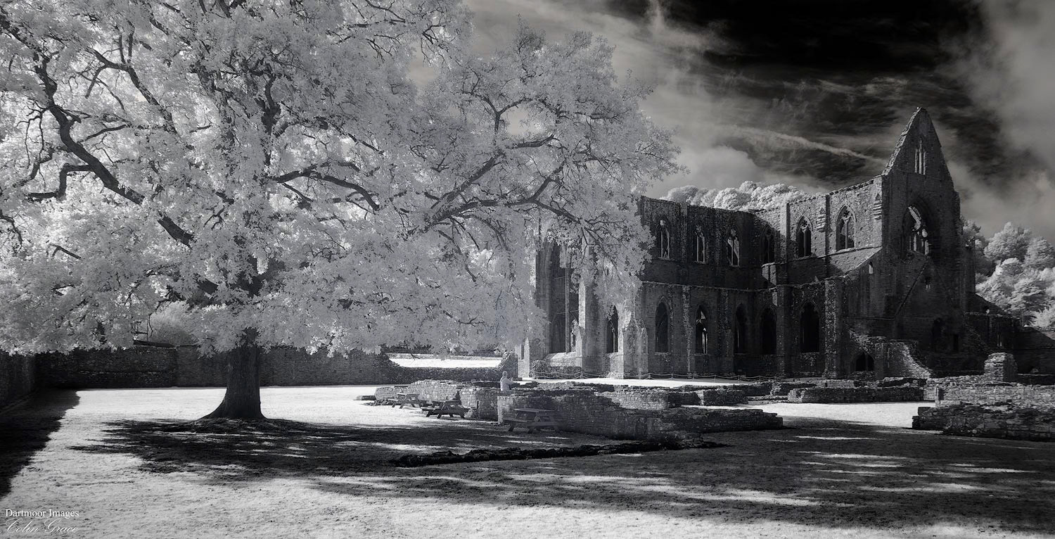 The ruins of Tintern Abbey in South Wales, photographed using an IR converted camera.