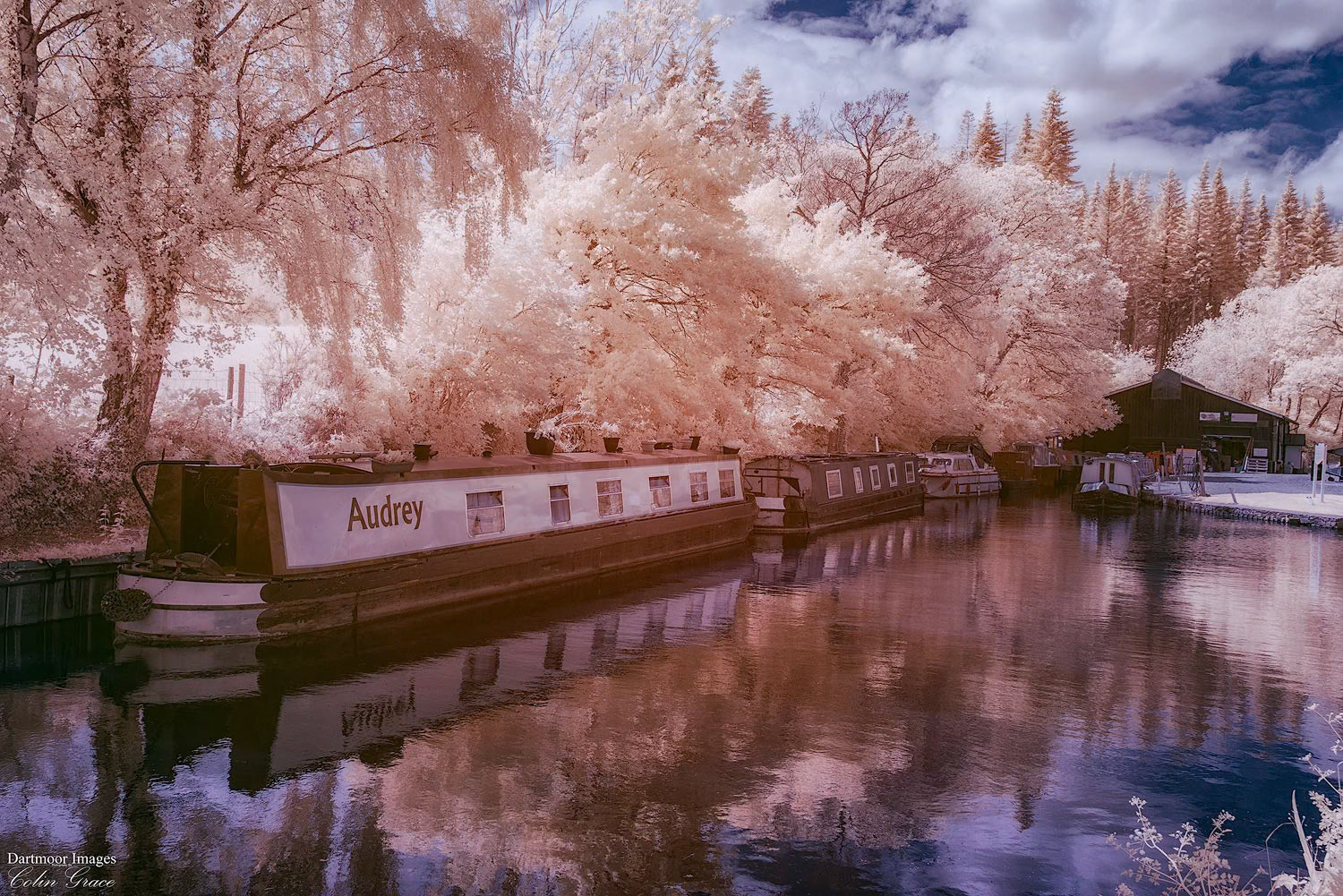 A false colour infra red image of canal boats moored alongside the Monmouthshire and Brecon Canal at Goytre Wharf in South Wales.