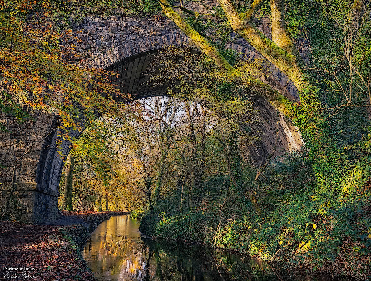 Tavistock Canal_5