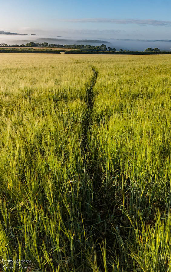 Woolwell Sunrise_22-035