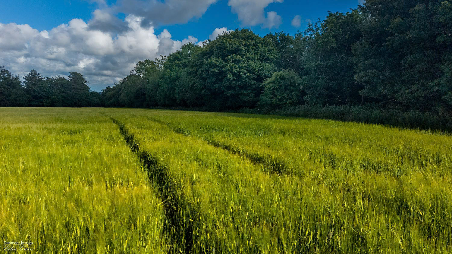 Woolwell Sunrise_22-031