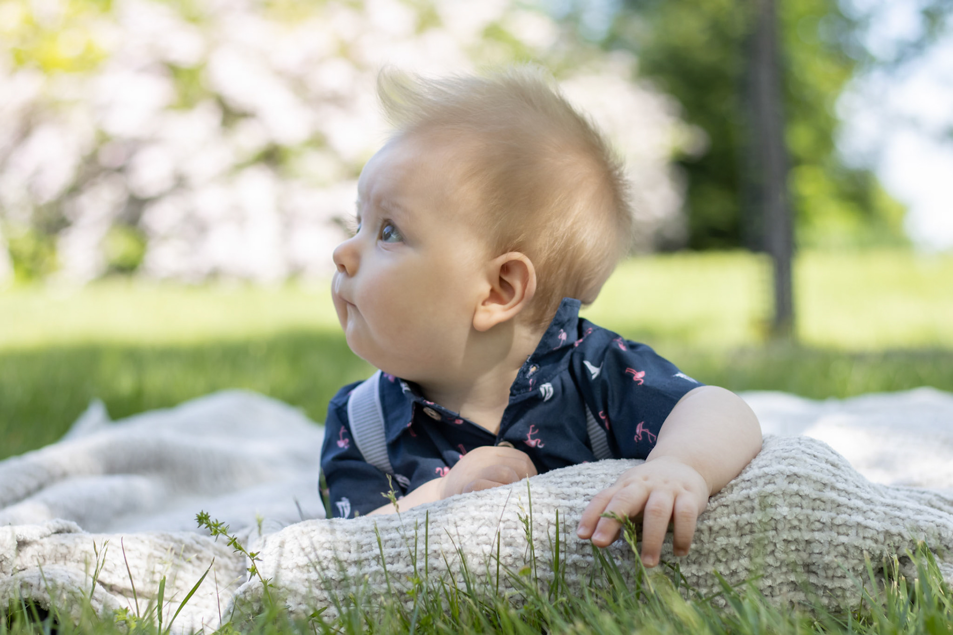 Six Months
