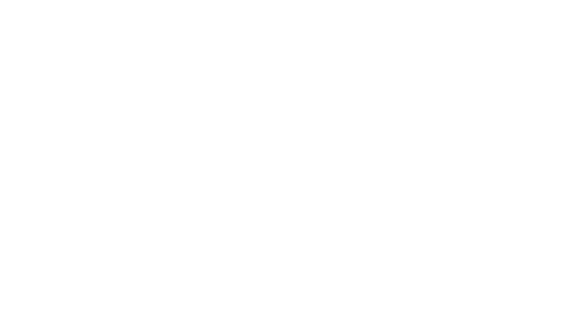 Thru the Eyes of Aitch Photography
