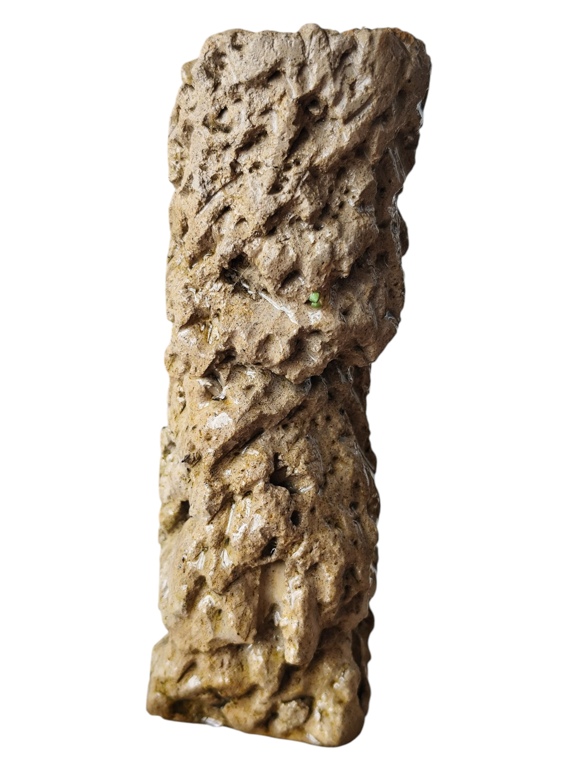 Juliette CHARIGNY, Sans titre, série Rupes Lichenum, 2025, 10 cm (h) × Ø 4 cm, sculpture, béton sculpté à la main, implantation avec un chataîgnier et corbeille d'argent, développement de racine et de champignons, sur la surface présente dans le sol, implanter dans une bassine d'eau douce en extérieur, présence de biofil, algues, et plantes aquatiques
