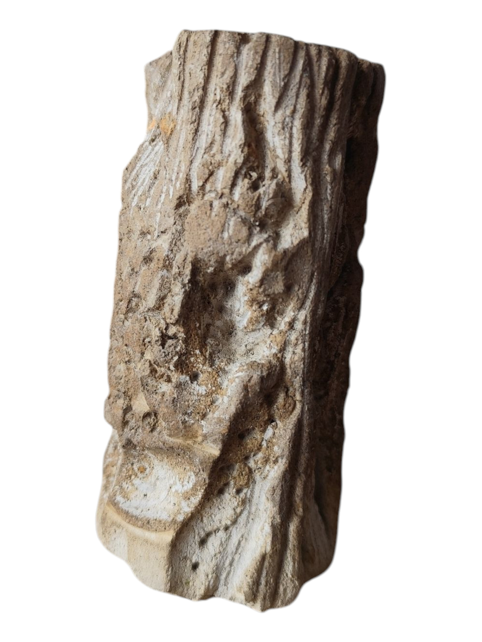 Juliette CHARIGNY, Sans titre, série Rupes Lichenum, 2025, 10 cm (h) × Ø 4 cm, sculpture, béton sculpté à la main, conservation en atelier mais à été humidifier.