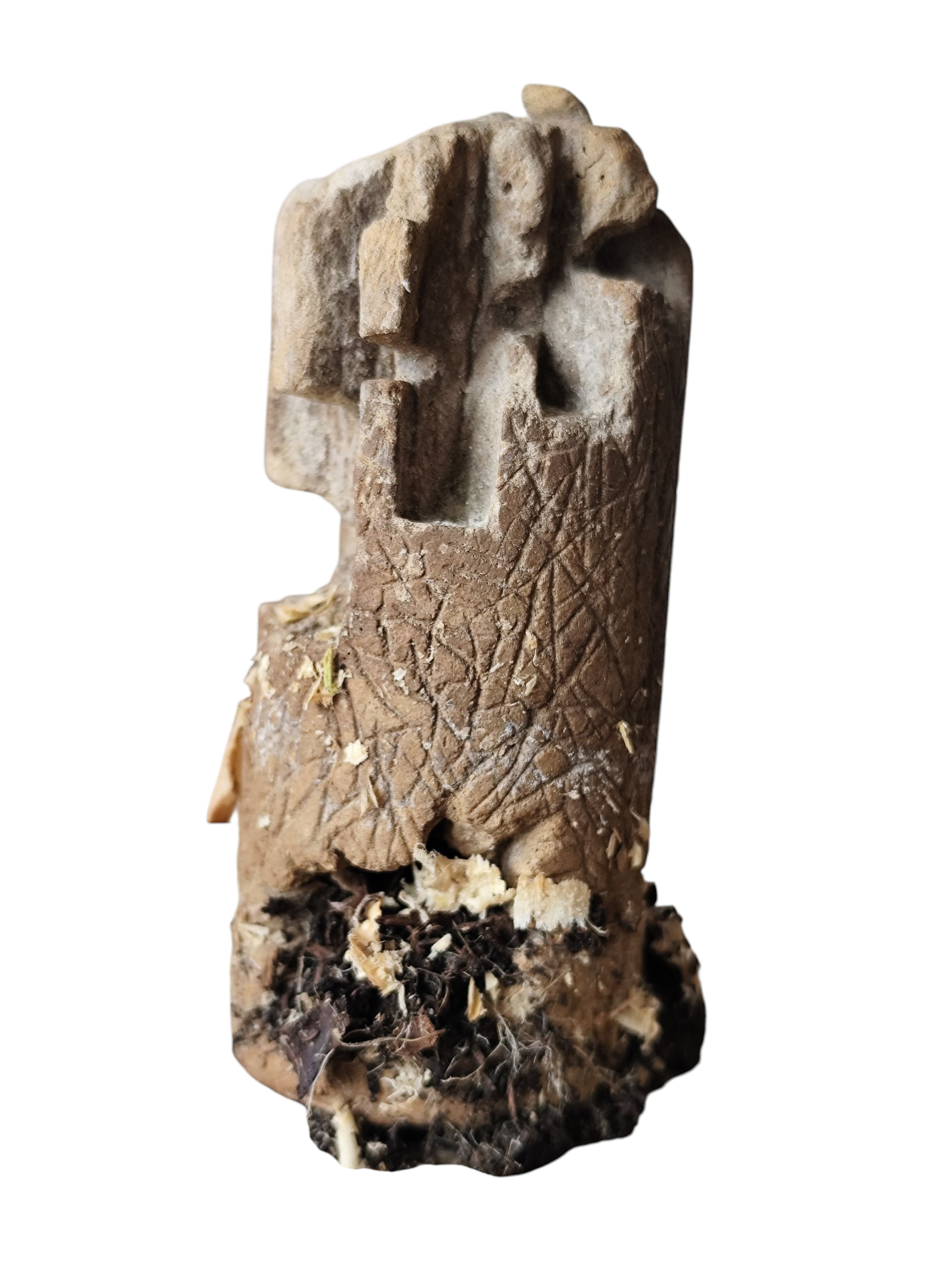 Juliette CHARIGNY, Sans titre, série Rupes Lichenum, 2025, 10 cm (h) × Ø 4 cm, sculpture, béton sculpté à la main, implantation avec un chataîgnier et corbeille d'argent, développement de racine et de champignons, sur la surface présente dans le sol