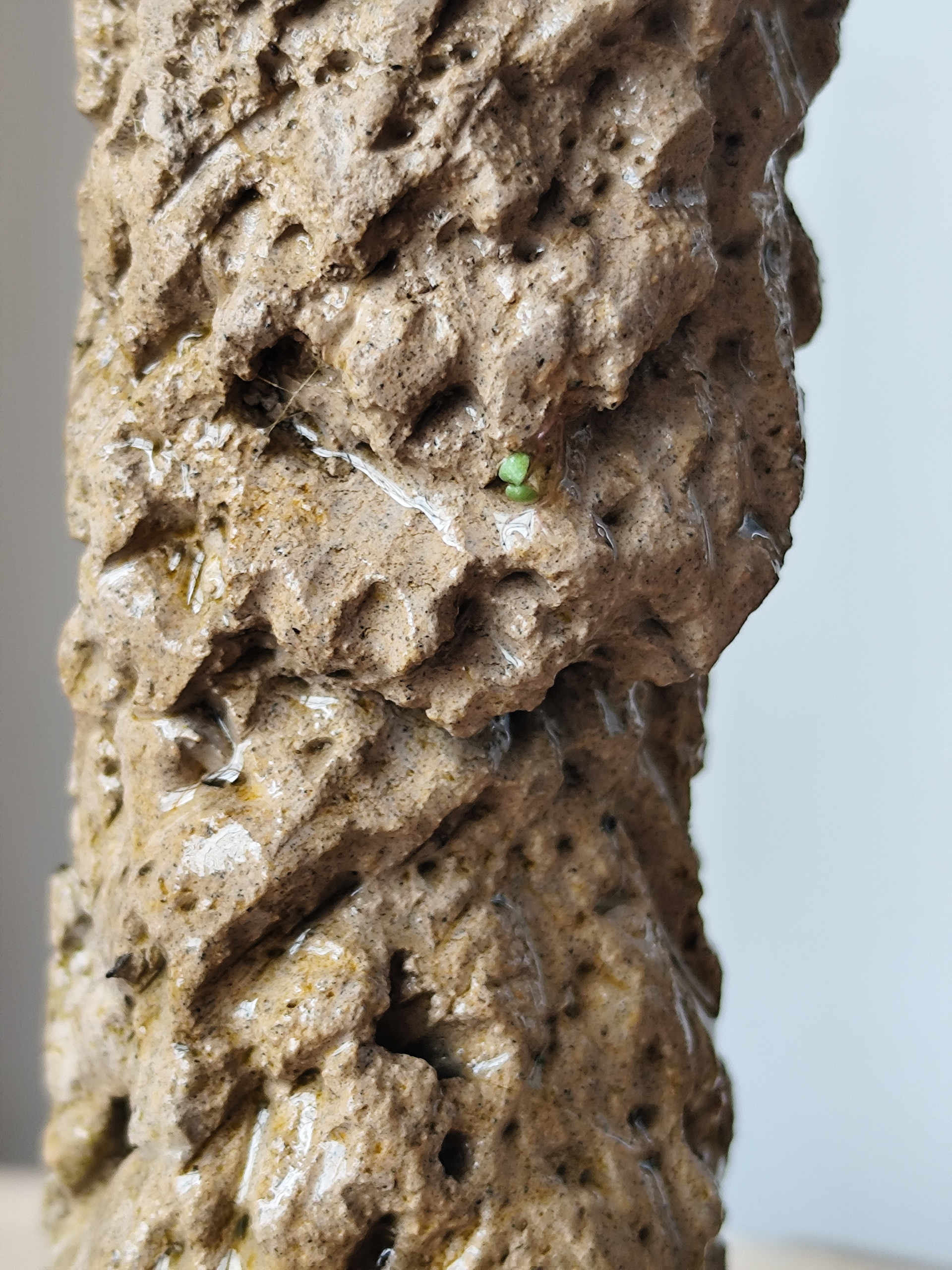 Observation de biofil, algue verte et plantes aquatiques dans une cavité de la sculpture, Juliette CHARIGNY, Sans titre, série Rupes Lichenum, 2025, 10 cm (h) × Ø 4 cm, sculpture, béton sculpté à la main