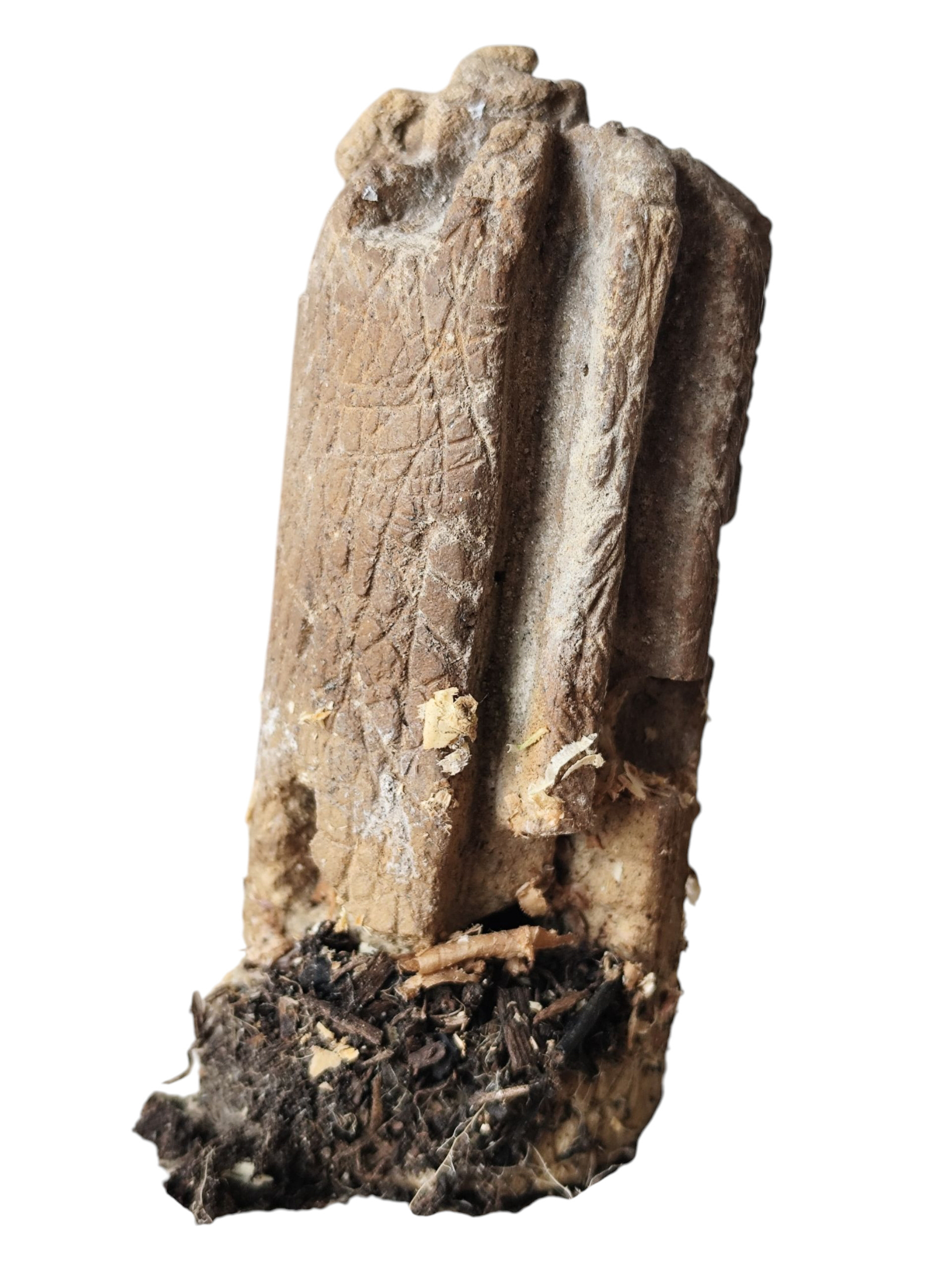 Juliette CHARIGNY, Sans titre, série Rupes Lichenum, 2025, 10 cm (h) × Ø 4 cm, sculpture, béton sculpté à la main, implantation avec un chataîgnier et corbeille d'argent, développement de racine et de champignons, sur la surface présente dans le sol