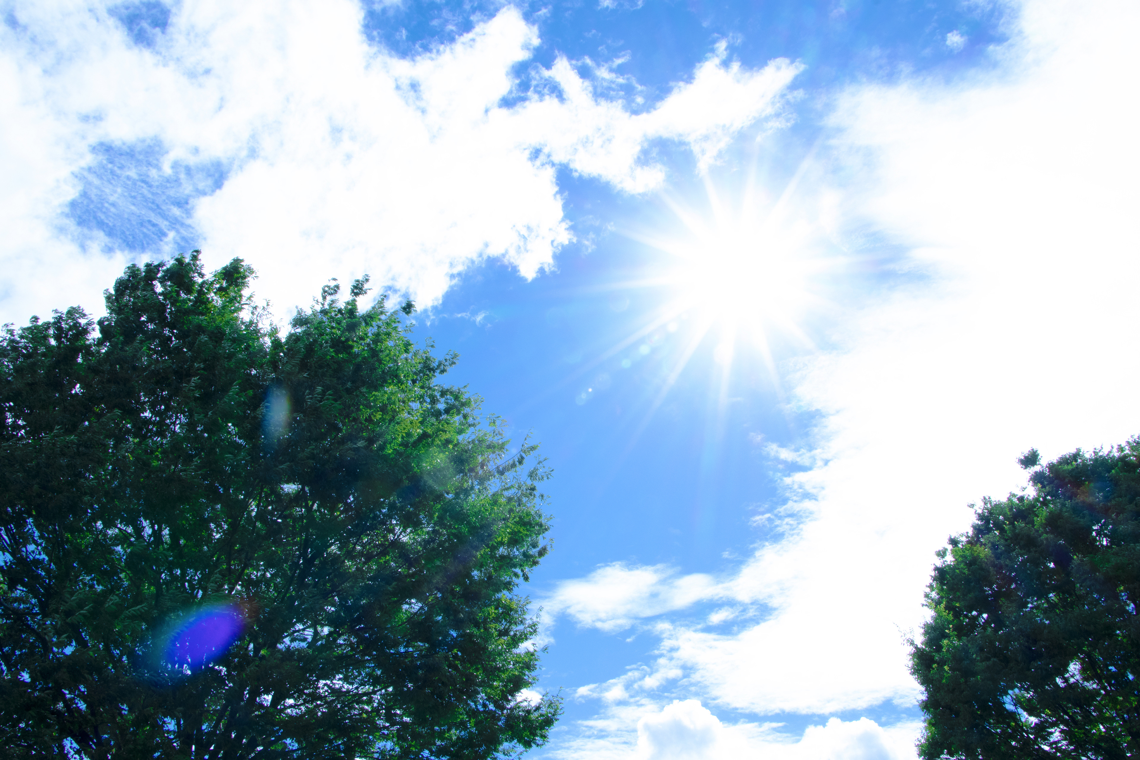 ある夏の空