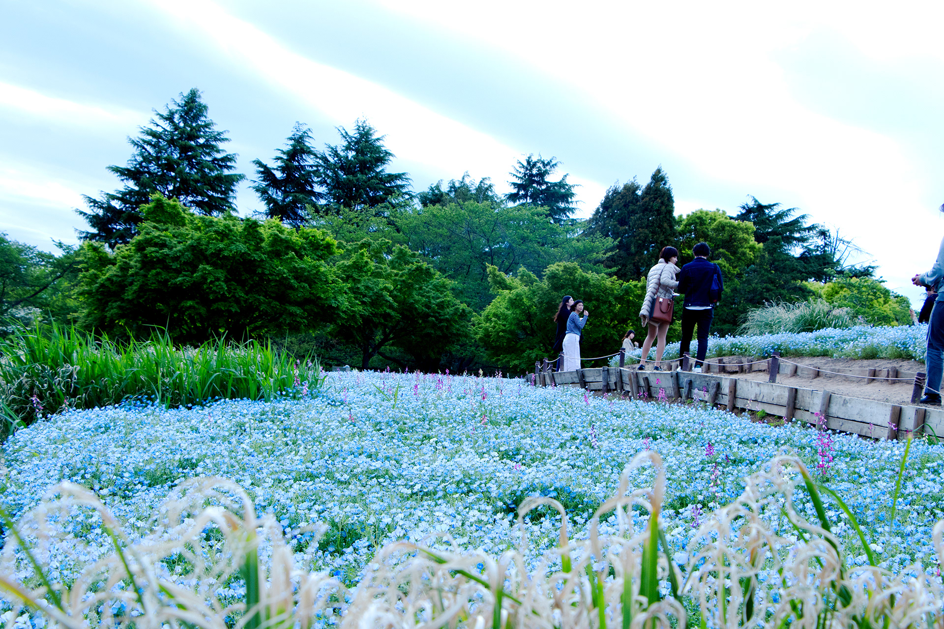 花畑の恋人たち