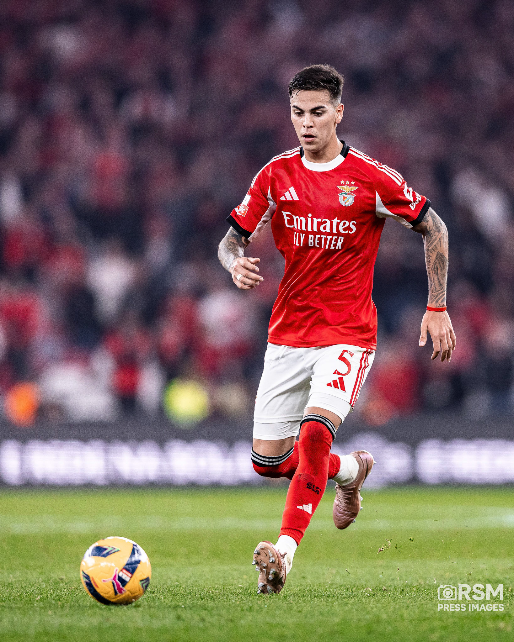 João Gregório / RSM PRESS IMAGES