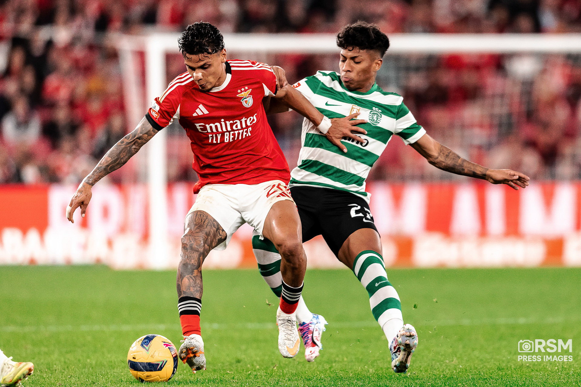  João Gregório  / RSM PRESS IMAGES