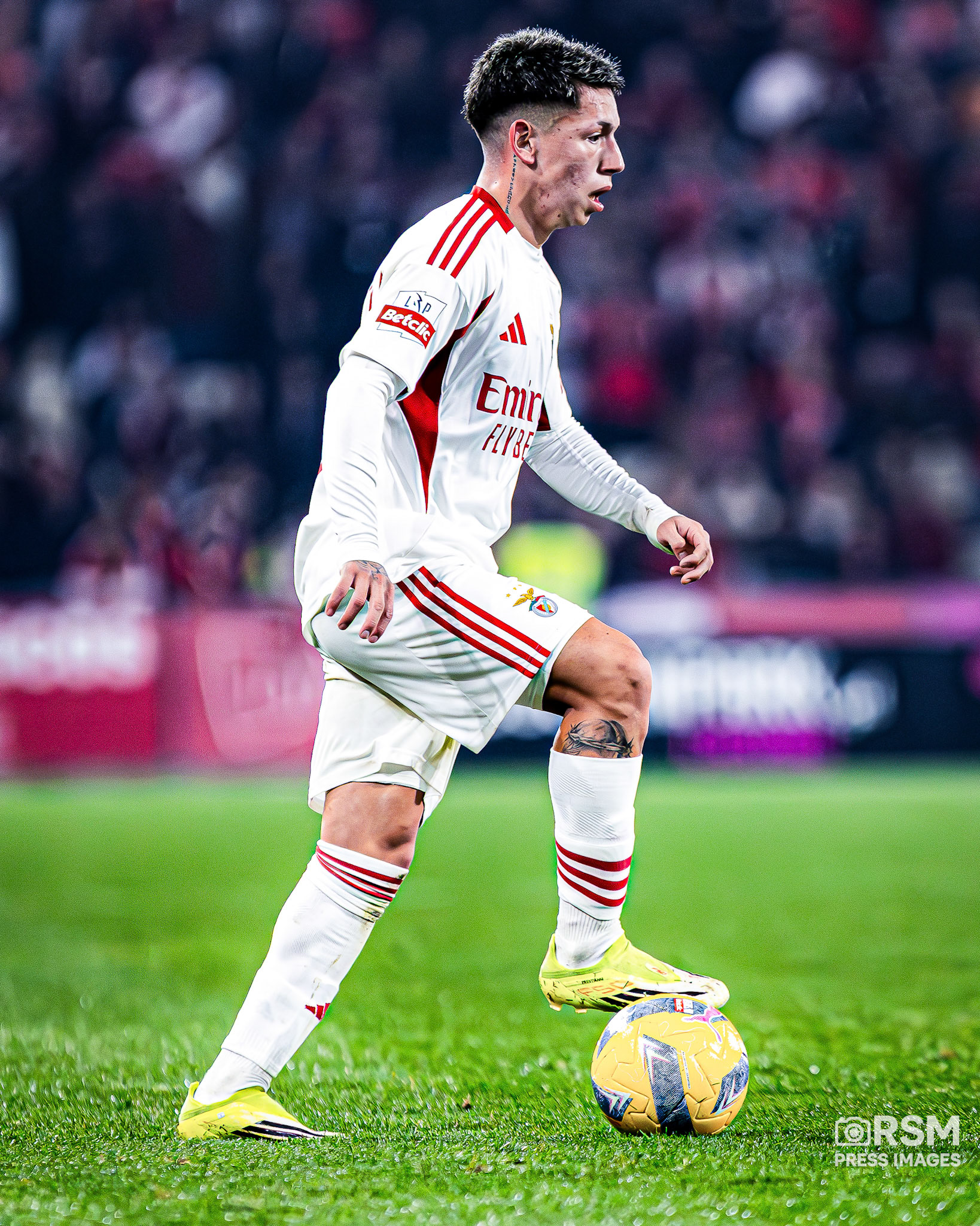 Sofia Garrido / RSM PRESS IMAGES