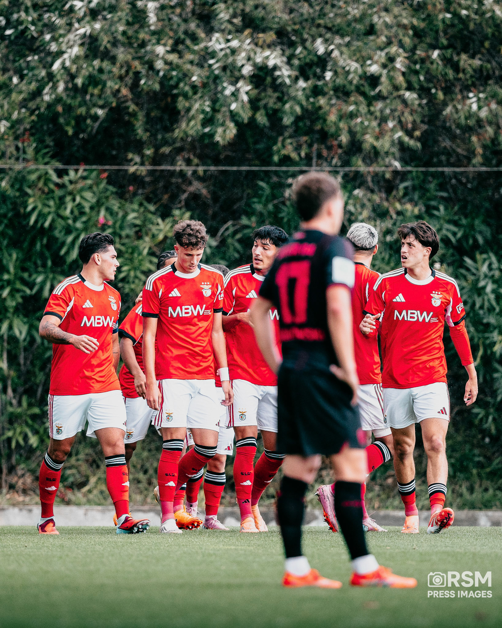  Joao Gregorio / RSM PRESS IMAGES