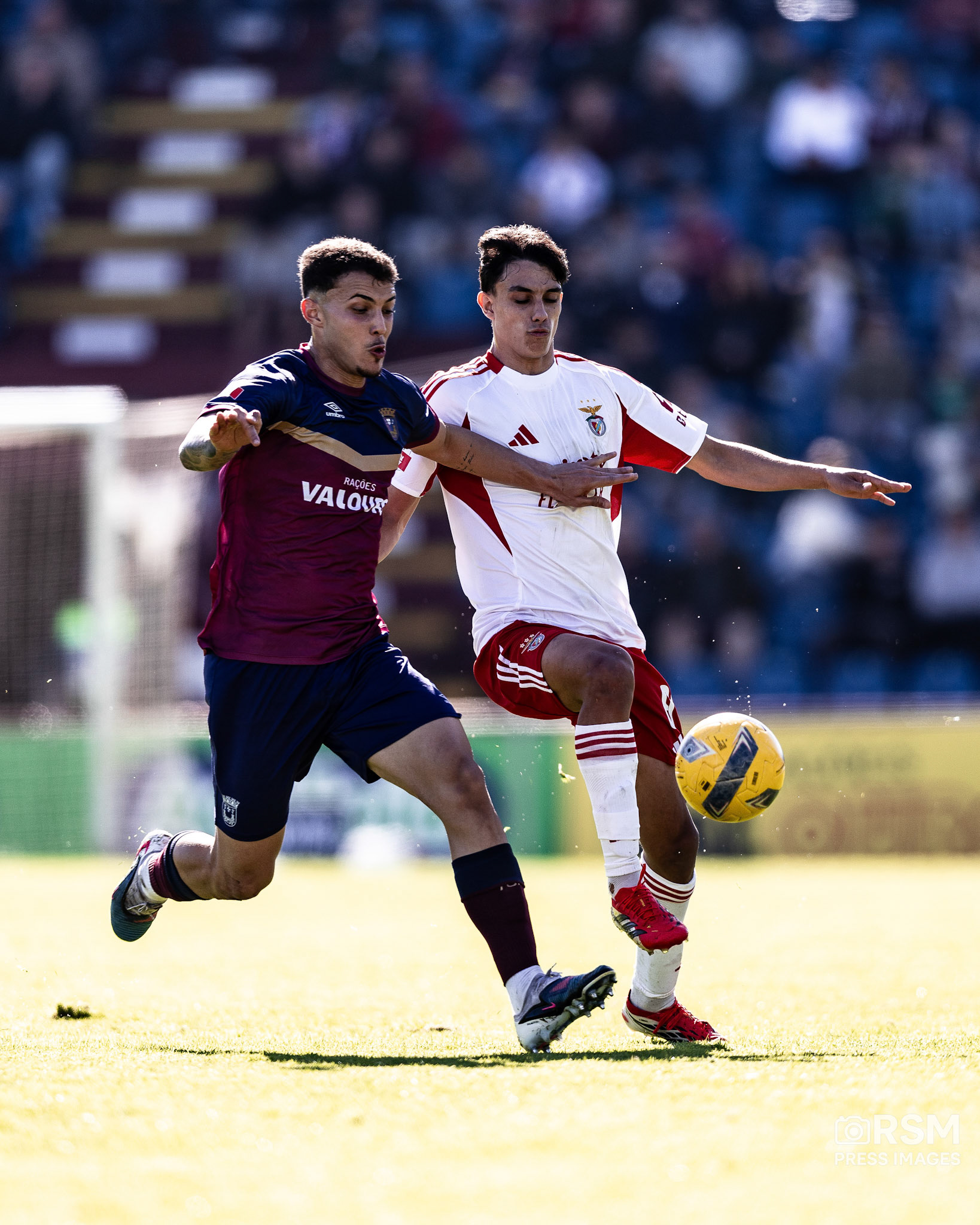  João Gregório / RSM Press Images