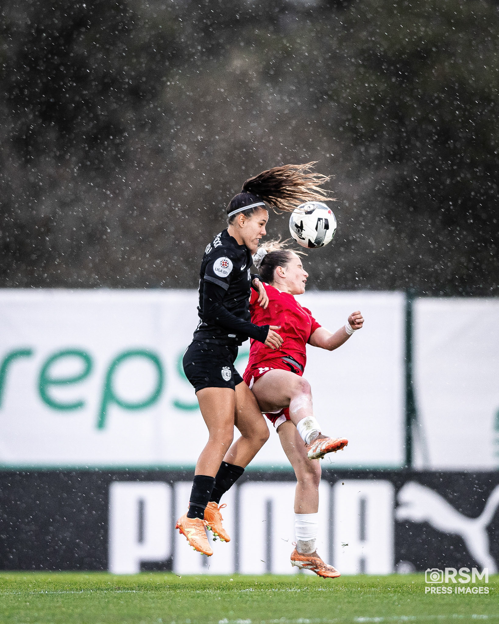 João Gregório / RSM PRESS IMAGES