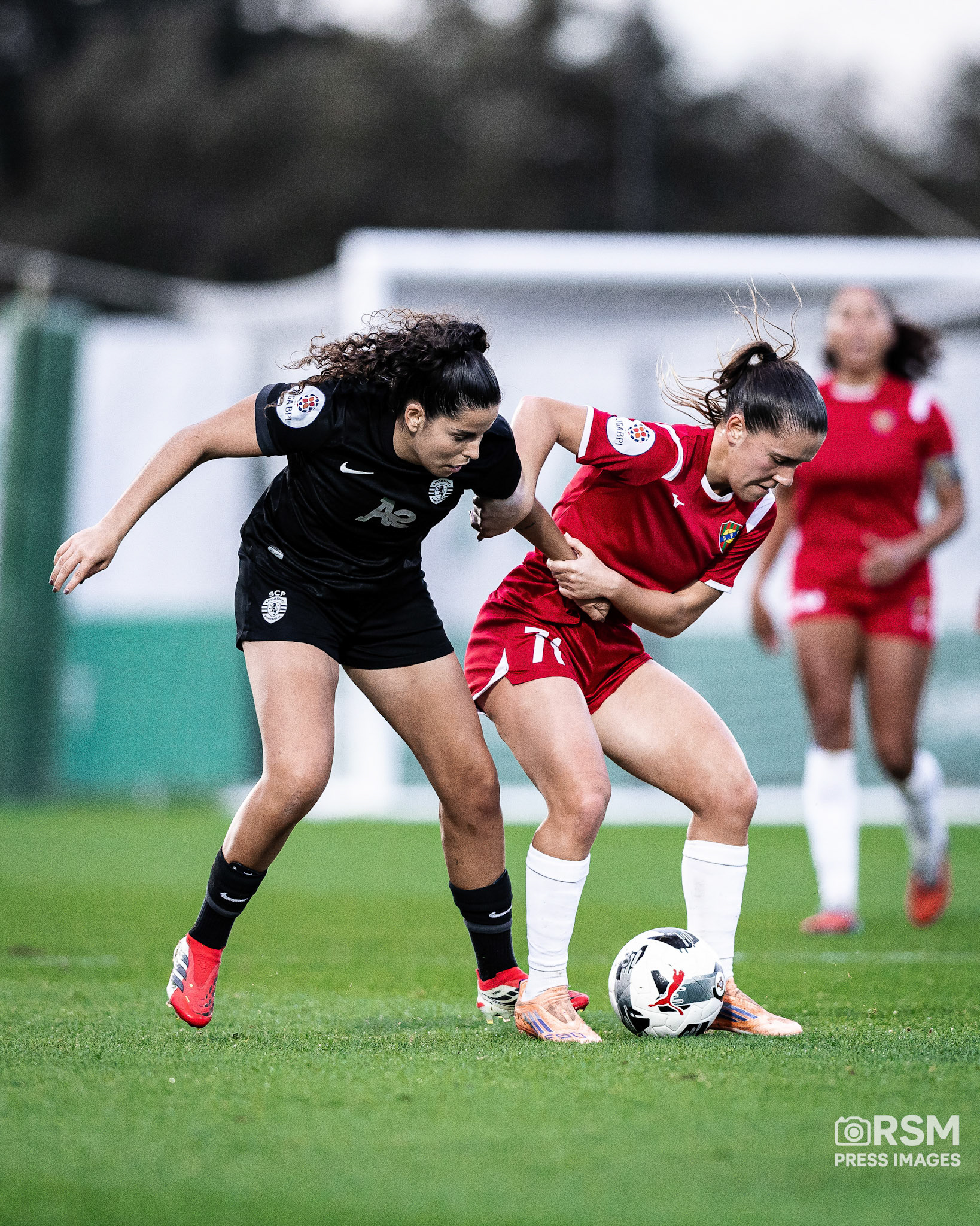 João Gregório / RSM PRESS IMAGES