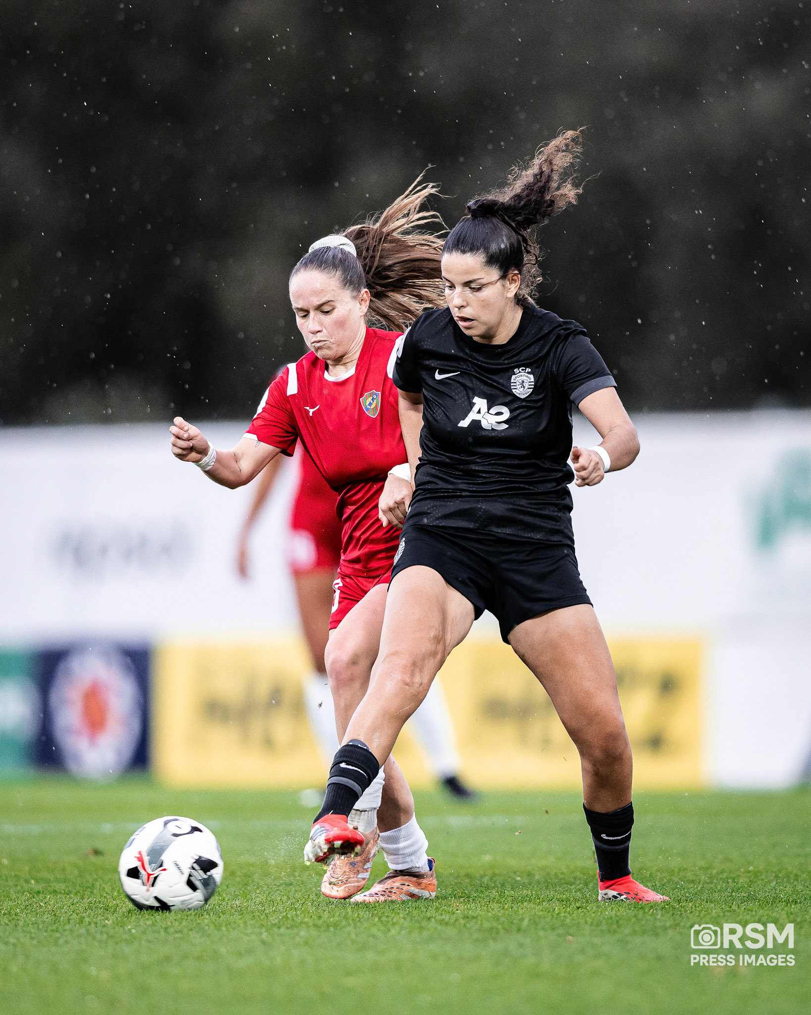 João Gregório / RSM PRESS IMAGES