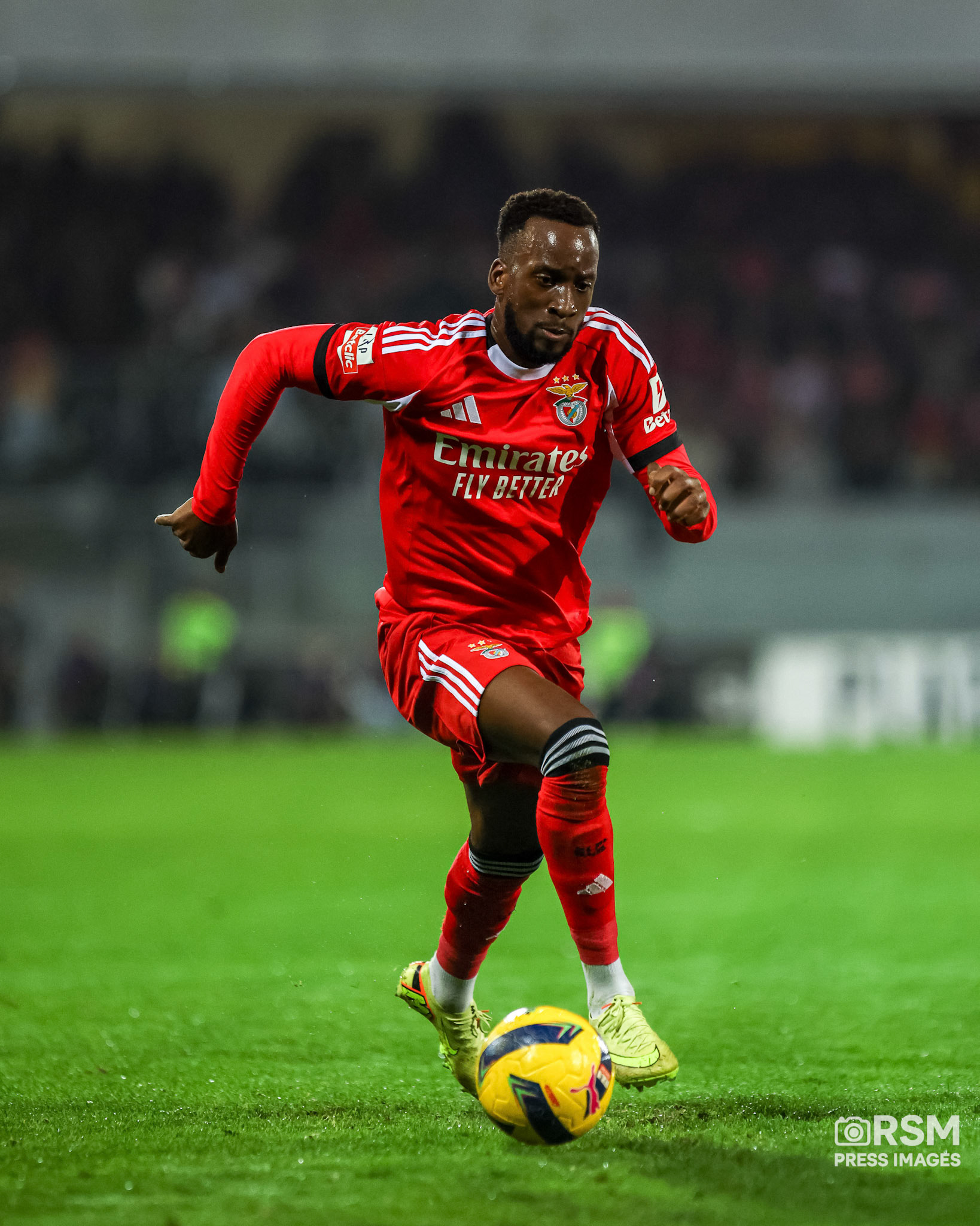 Fotografias: Sofia Garrido / RSM PRESS IMAGES