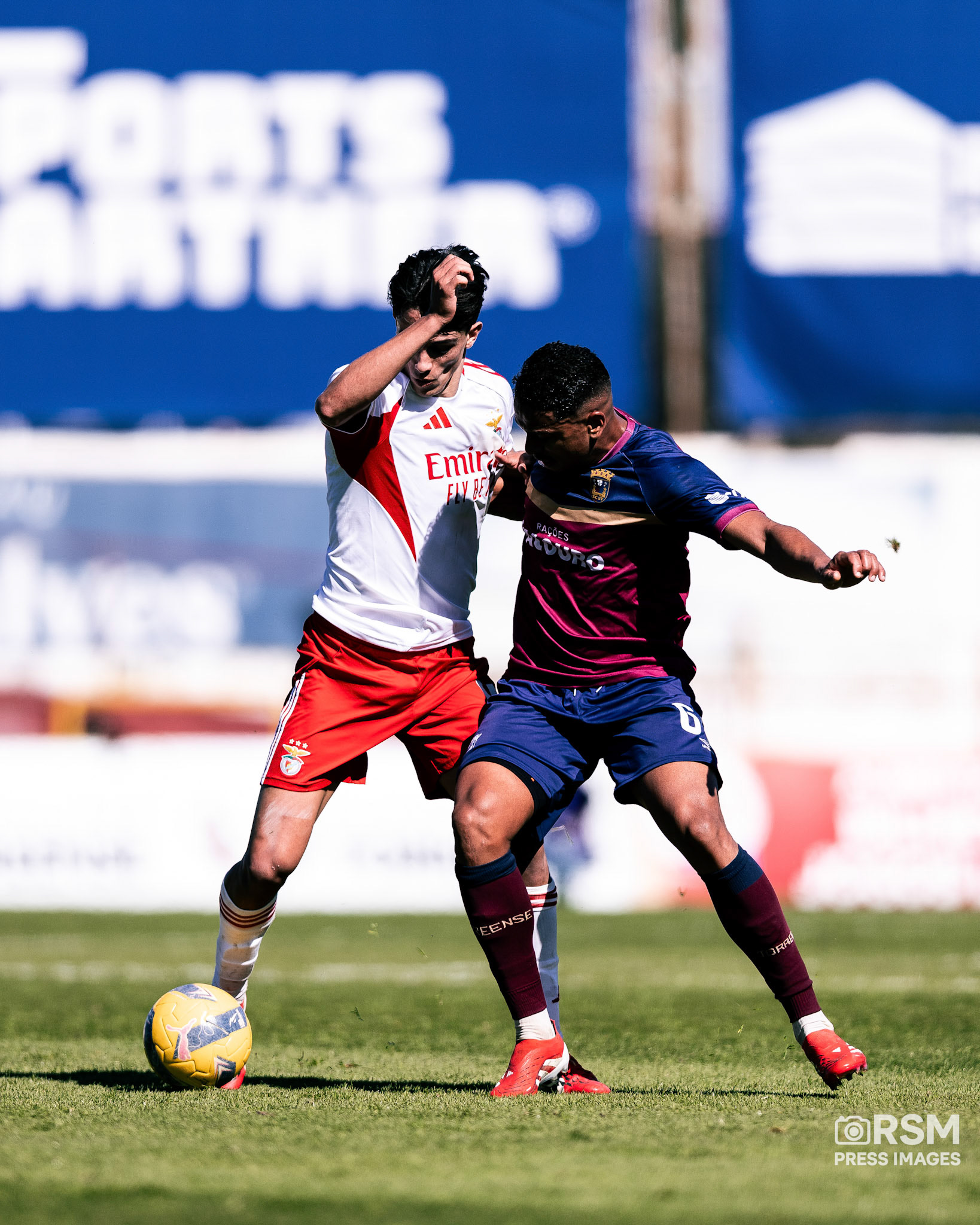  João Gregório / RSM Press Images