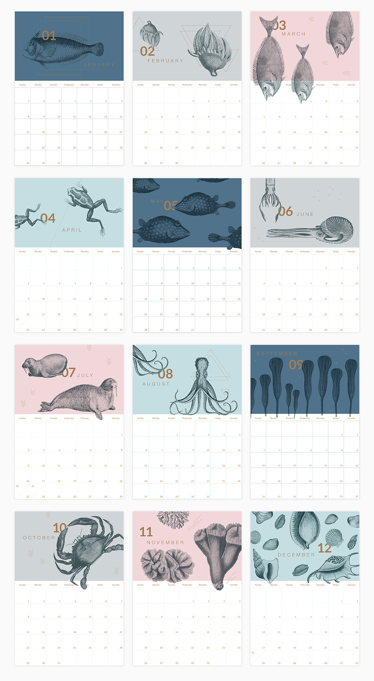 Calendar | Efrat Ofek | Graphic Designer