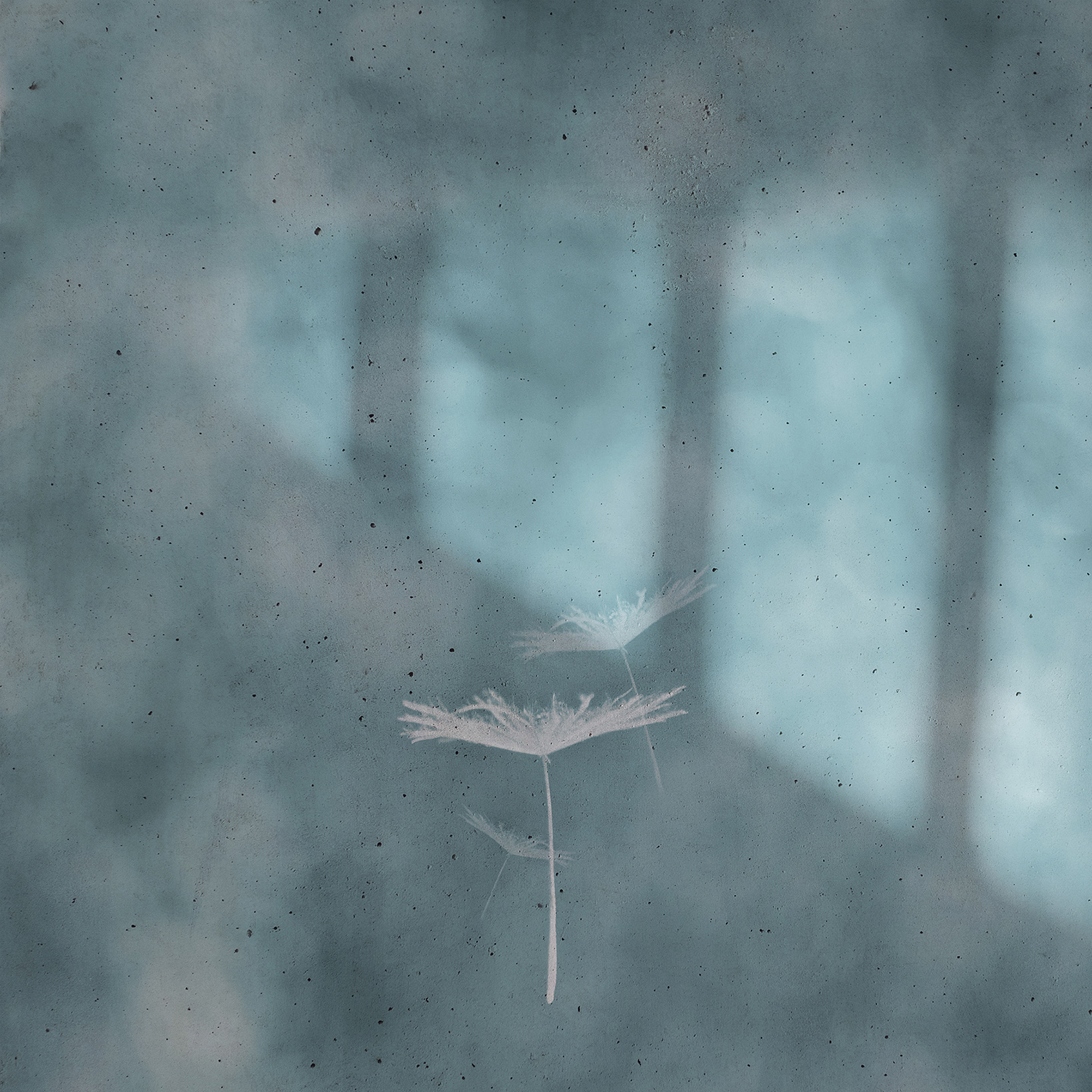 "Drift," 2021
