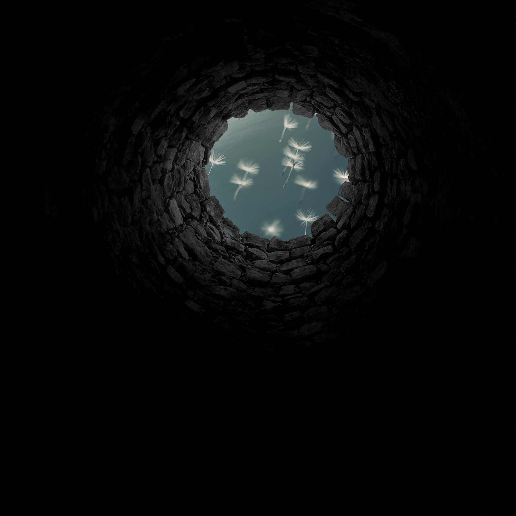 "Climb," 2021