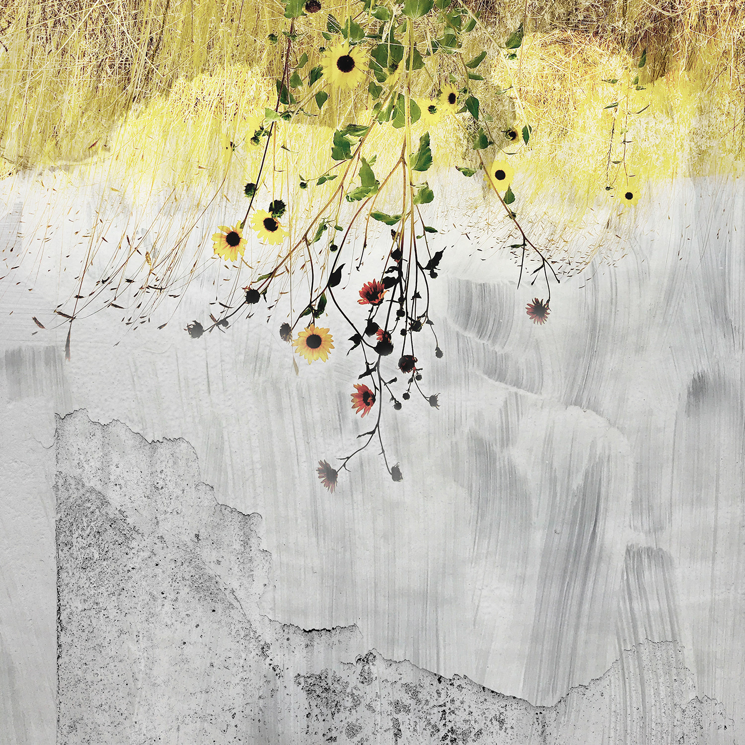 "Grow," 2022