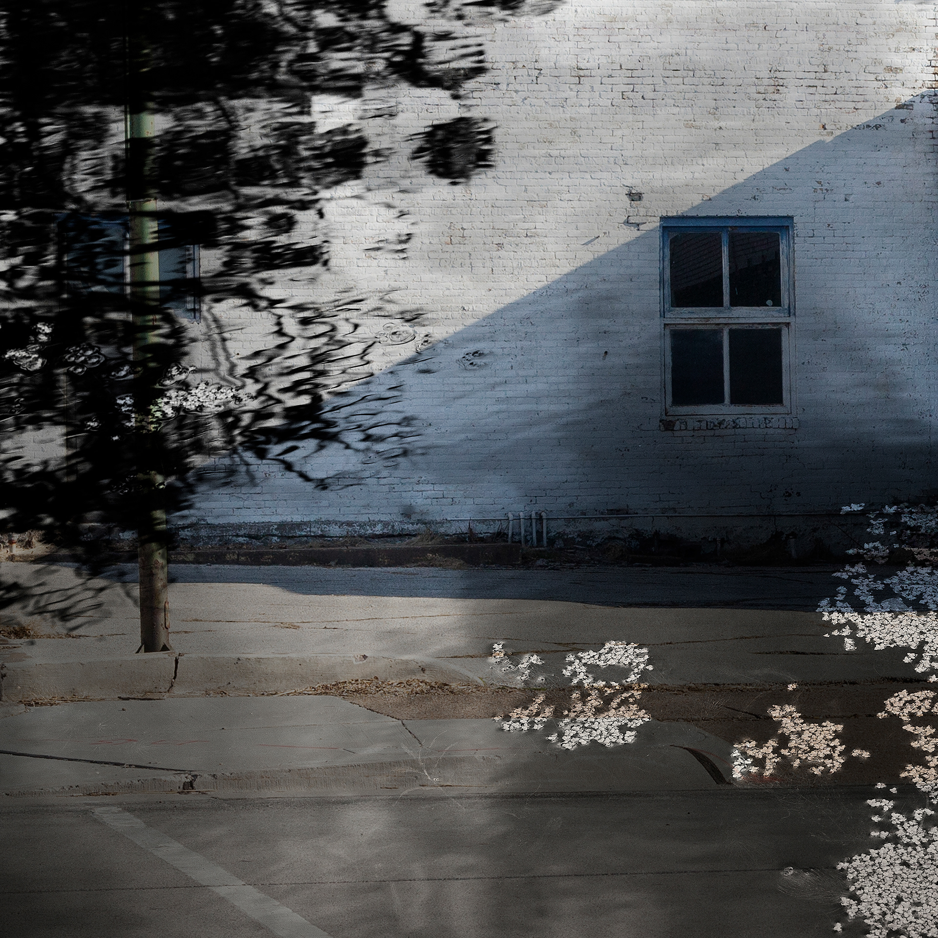 "Escape Route," 2018