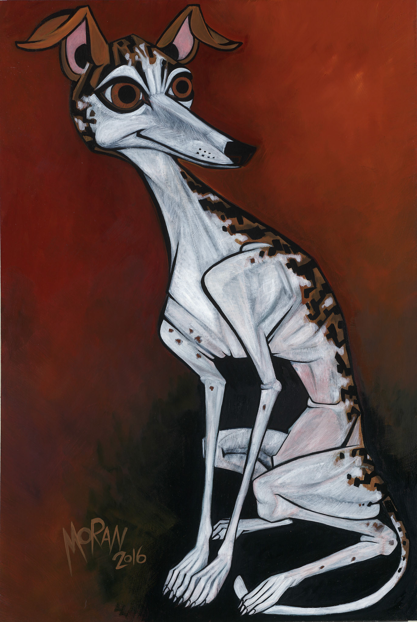 Whippet