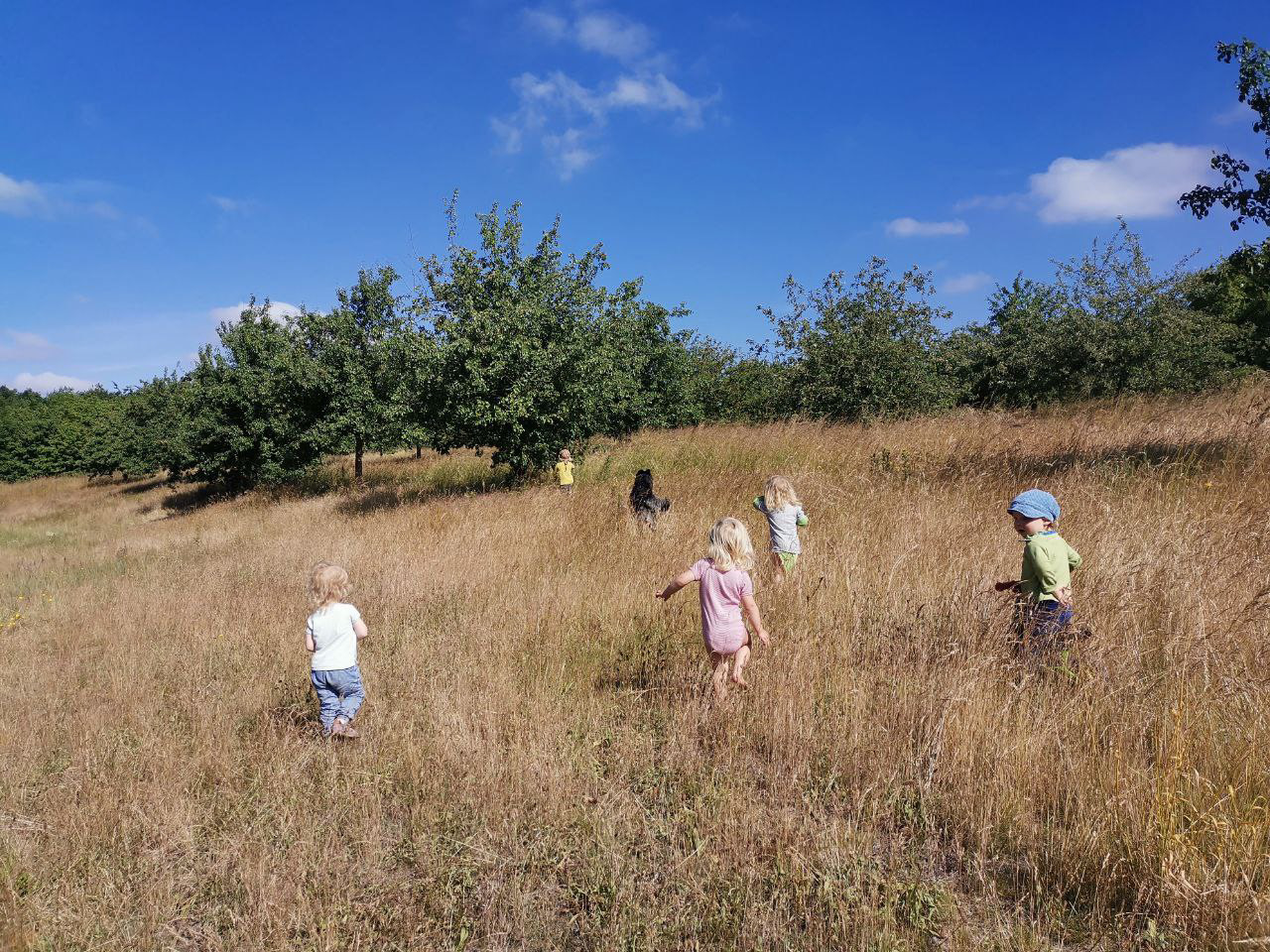 Ein Tagesmutter Zusammenschluss  in Hamburg - Moorburg/Süderelbe Wir begleiten zehn Kinder im Alter von einem Jahr bis zum Kindergarteneintritt von Montag bis Freitag, jeweils von 8:00 bis 14:00 Uhr (+/- individueller Absprache)