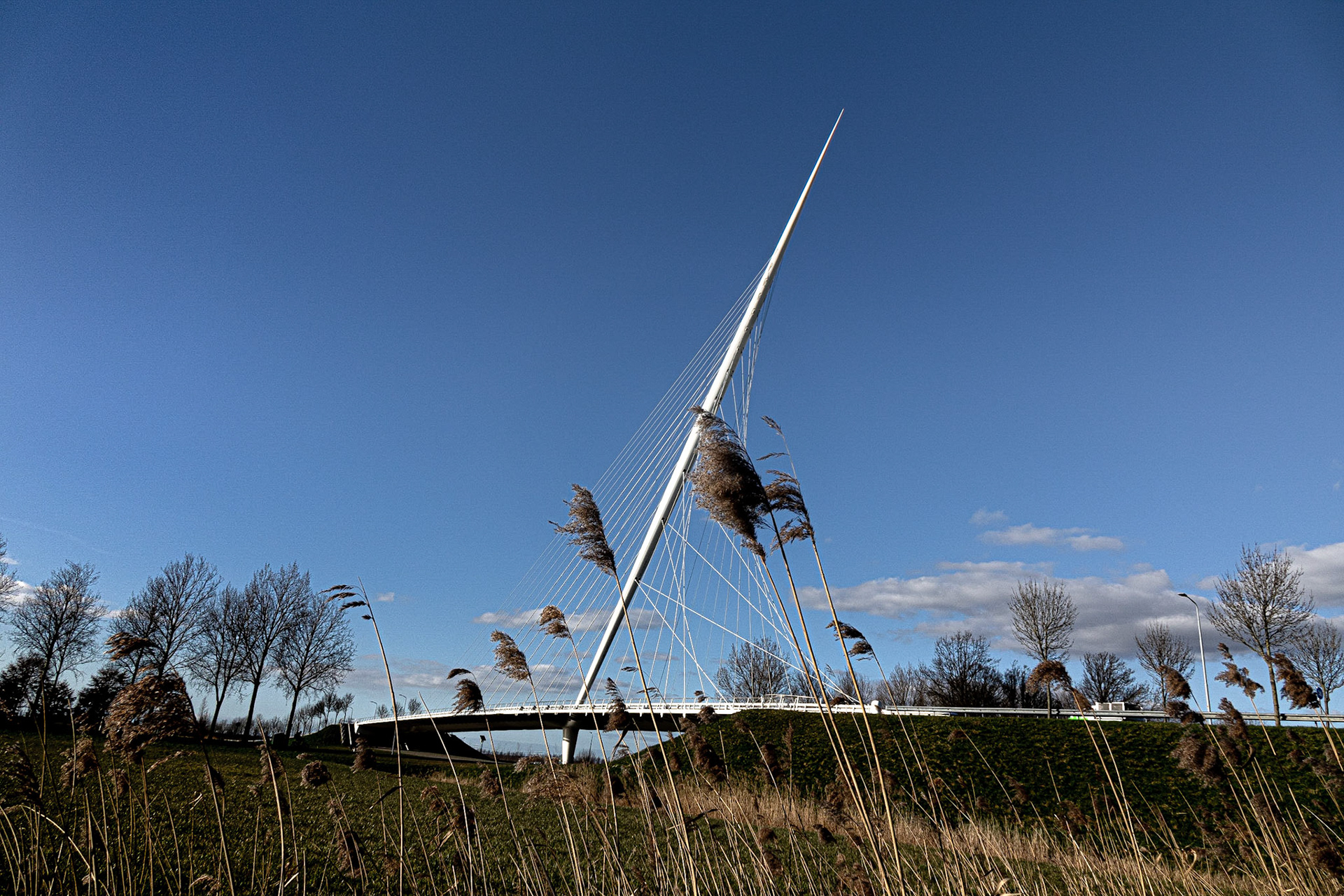De Harp Calatrava