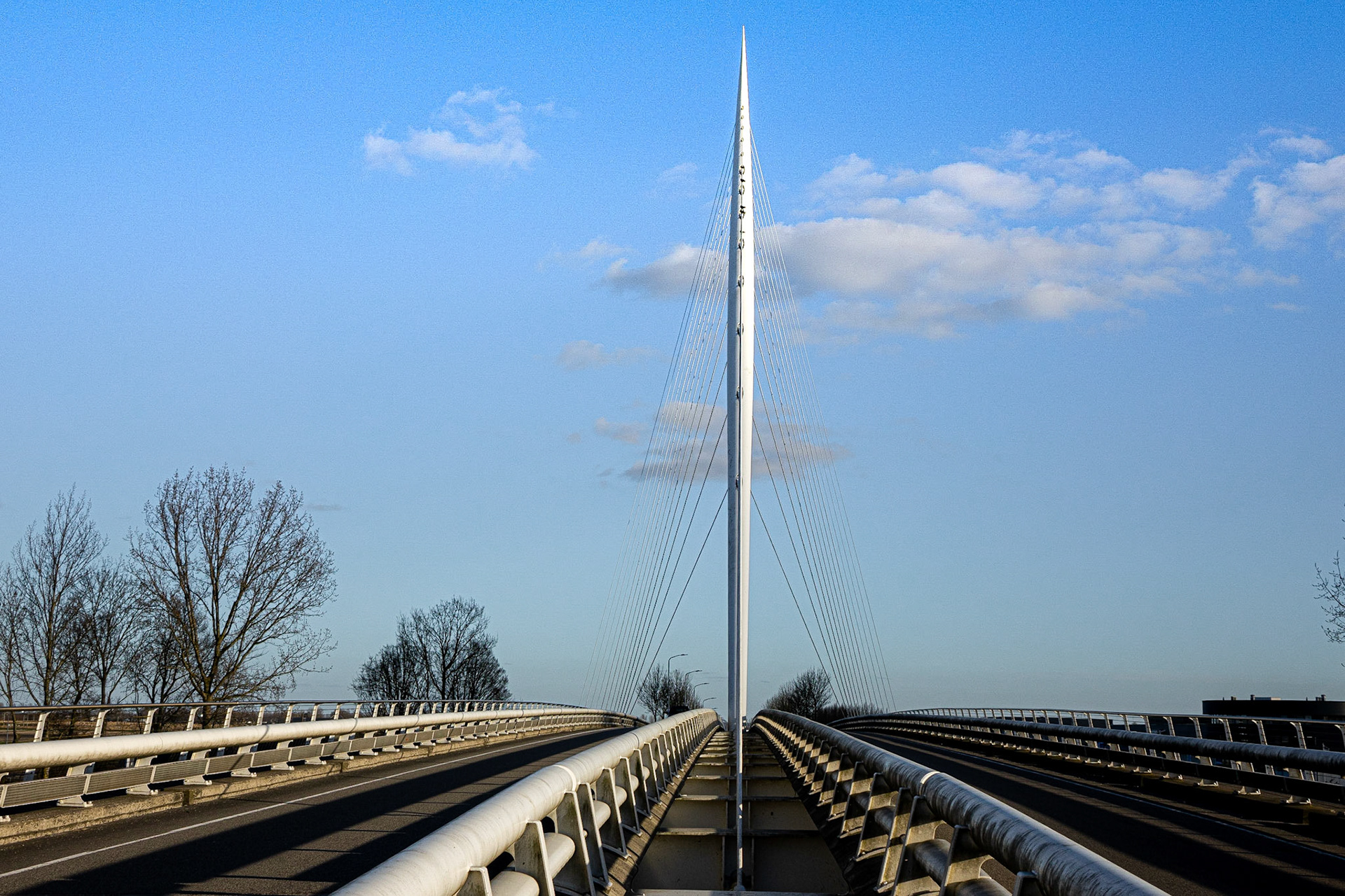 De Harp Calatrava