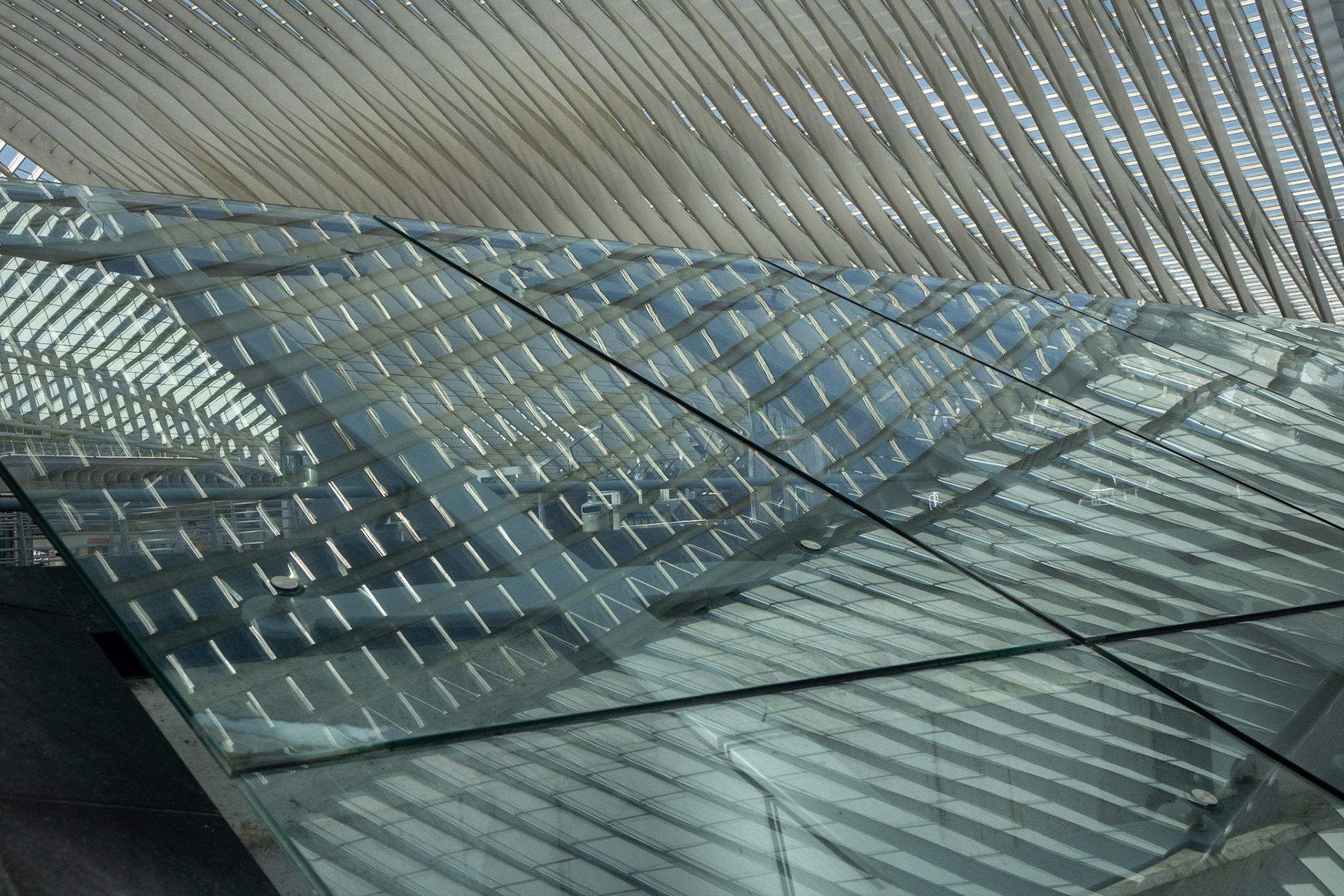 La Gare Liège Guillemins - Santiago Calatrava