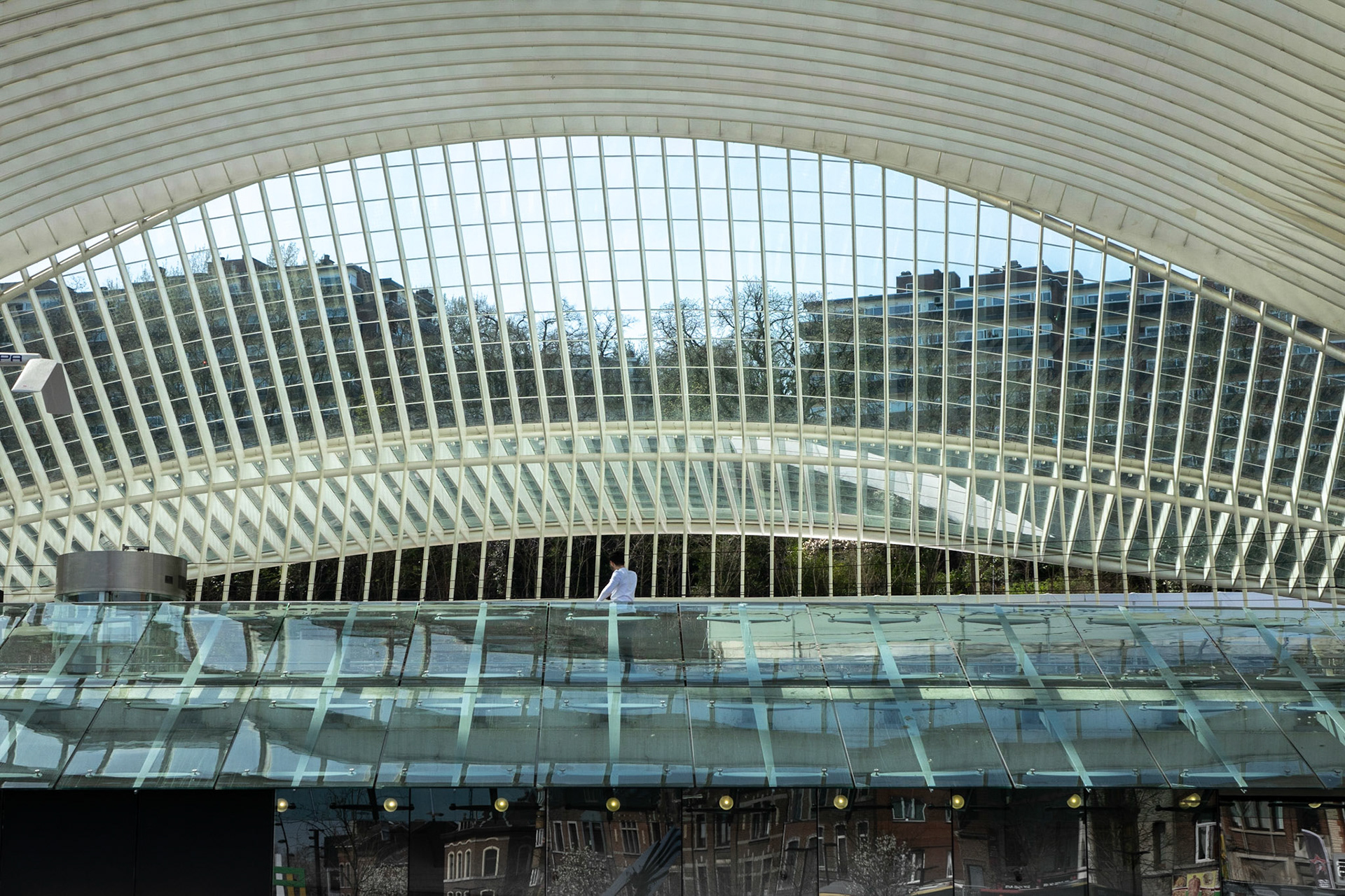 La Gare Liège Guillemins - Santiago Calatrava Luège Guillemins - Santiago Calatrava