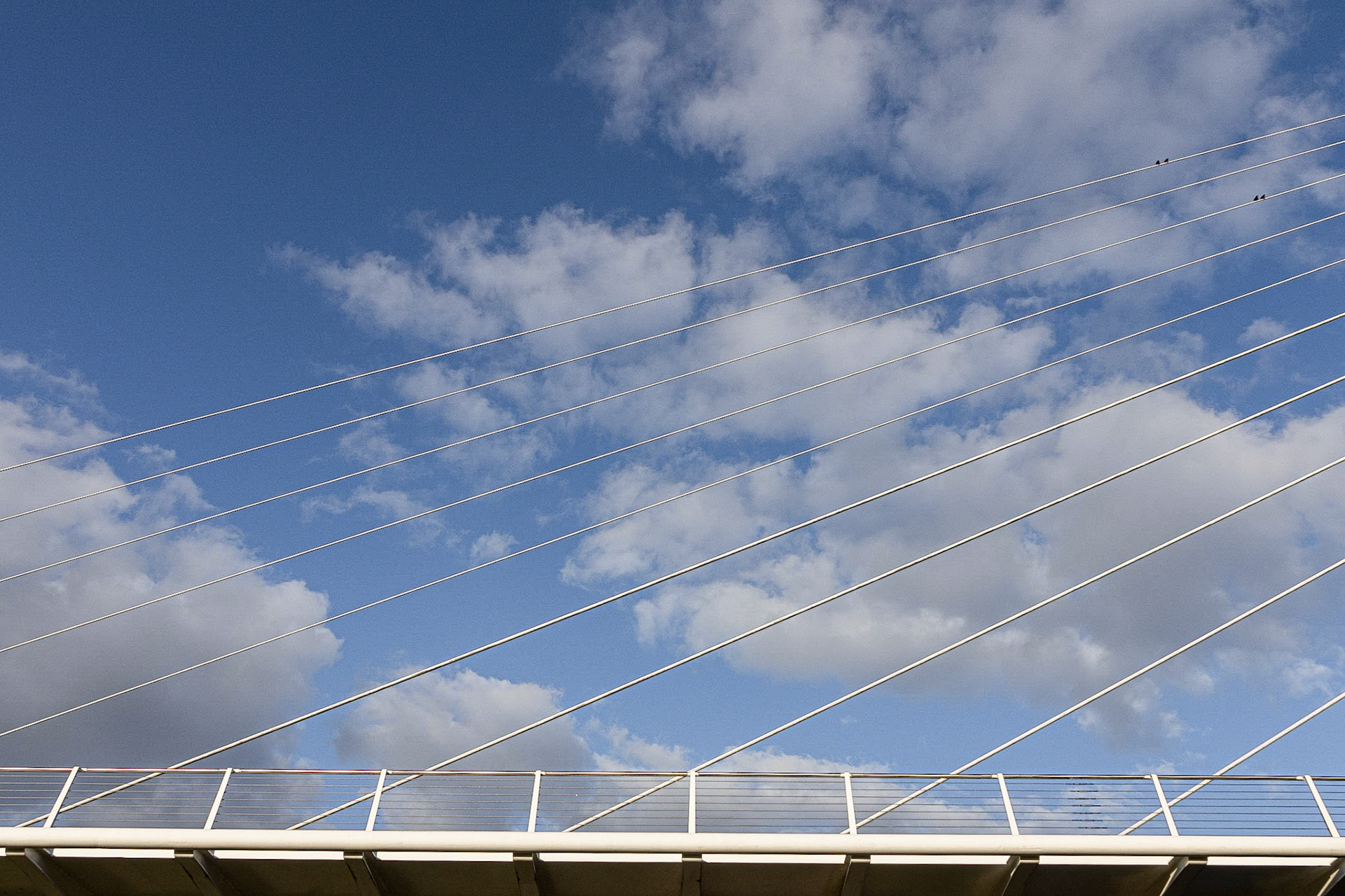 De Harp Calatrava