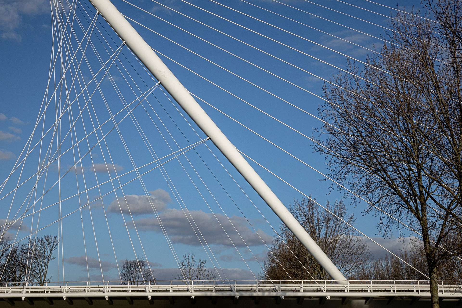 De Harp Calatrava