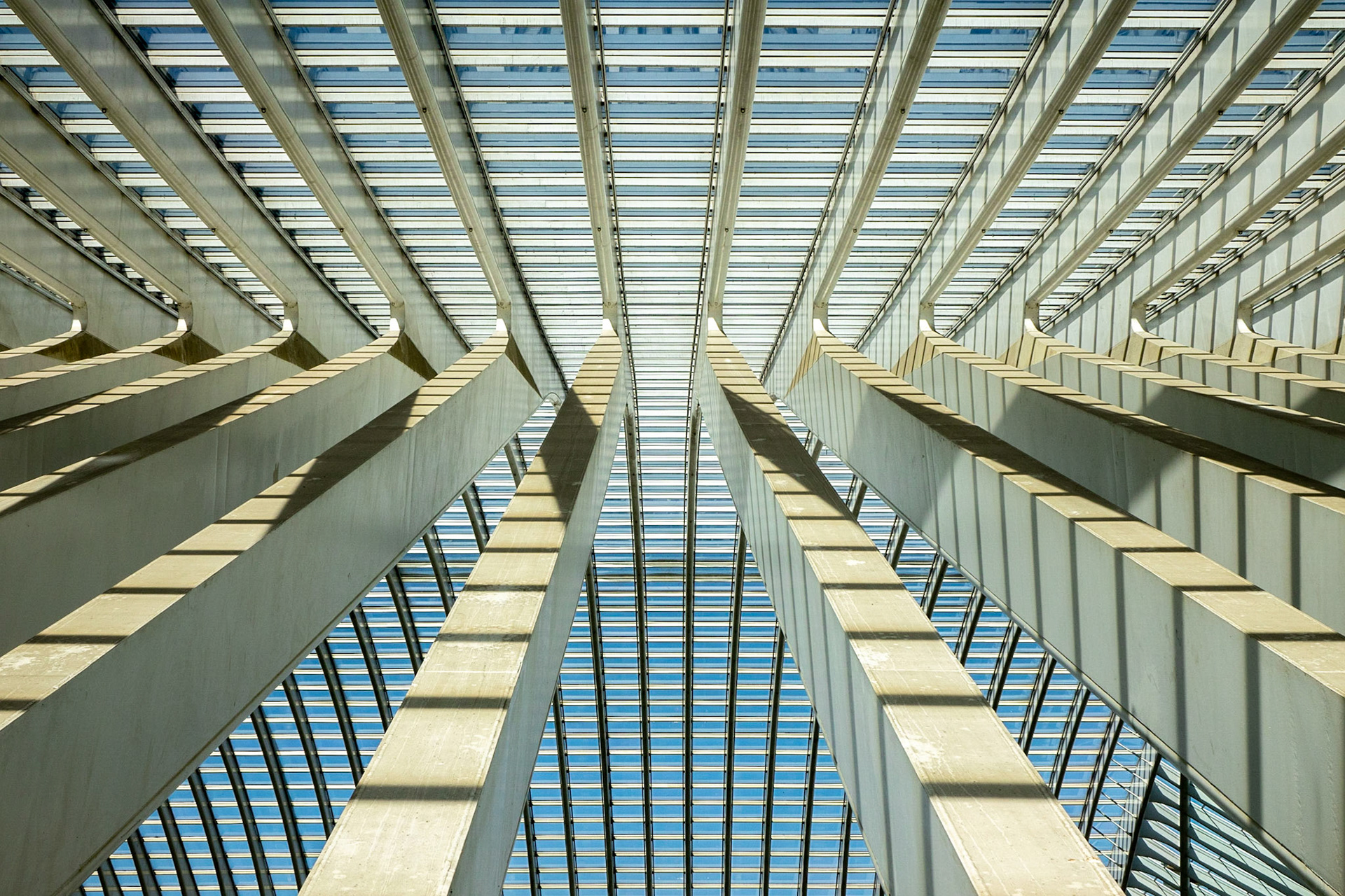 La Gare Liège Guillemins - Santiago Calatrava