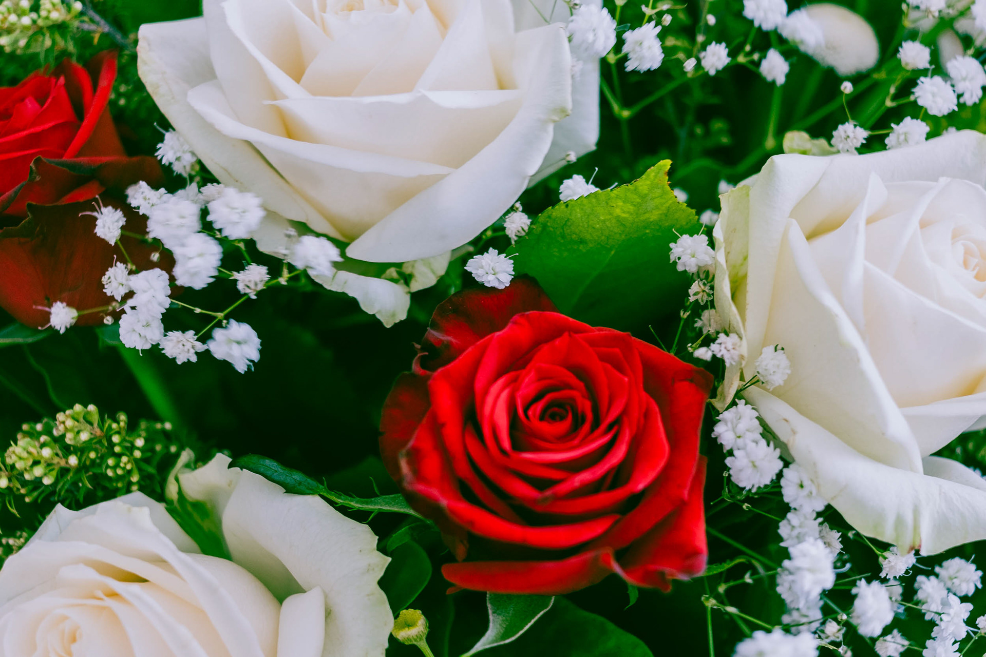 Rose Bouquet, 27mm, f/2.8, 1/40 sec, ISO250