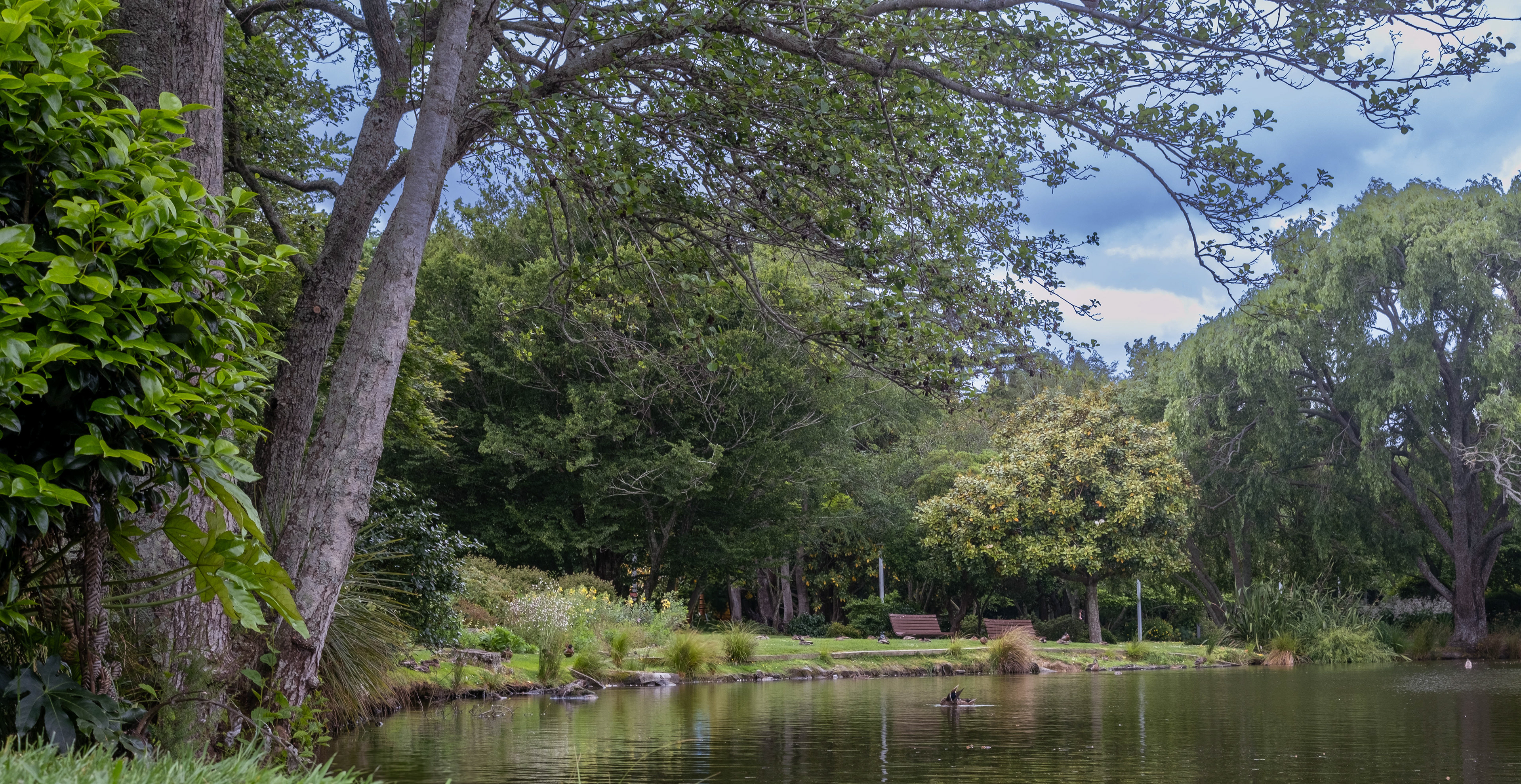 Waikato University Pond, 27mm, f/8, 1/60 sec, ISO200