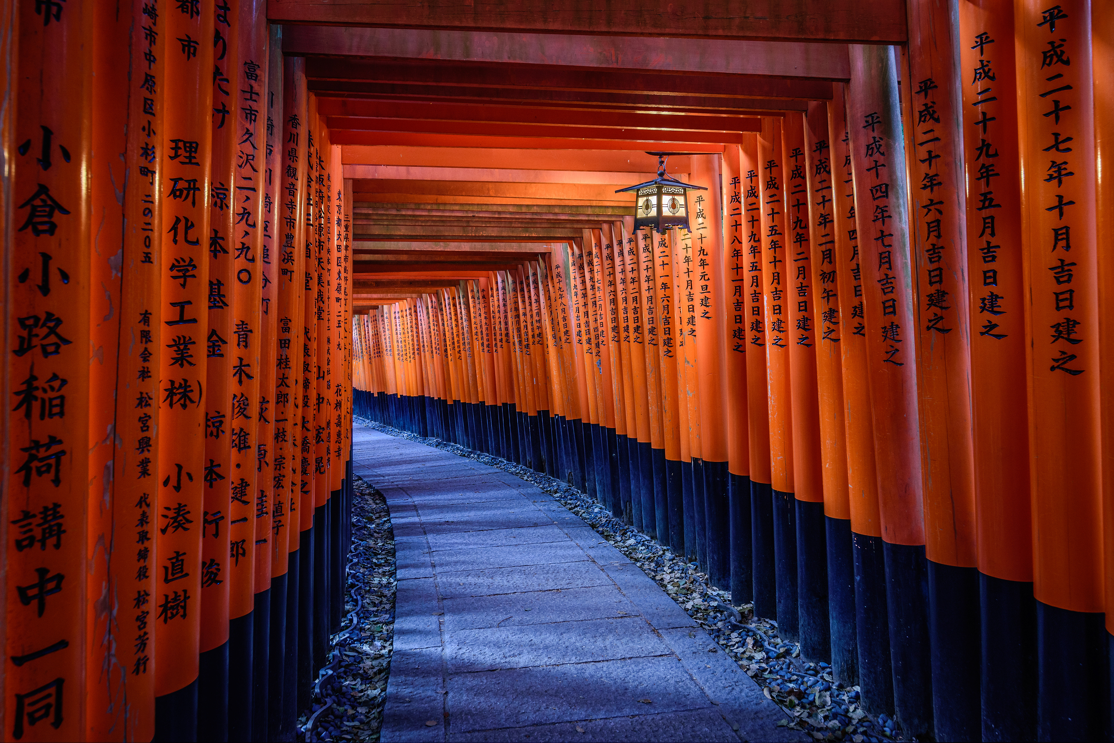 Endless Gates || Fushimi Inari Taisha, Kyoto, Japan